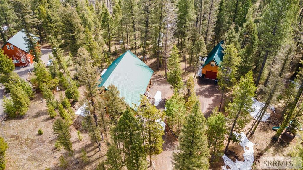 Island Park, Idaho, 83429, United States, 3 Bedrooms Bedrooms, ,2 BathroomsBathrooms,Residential,For Sale,1766025