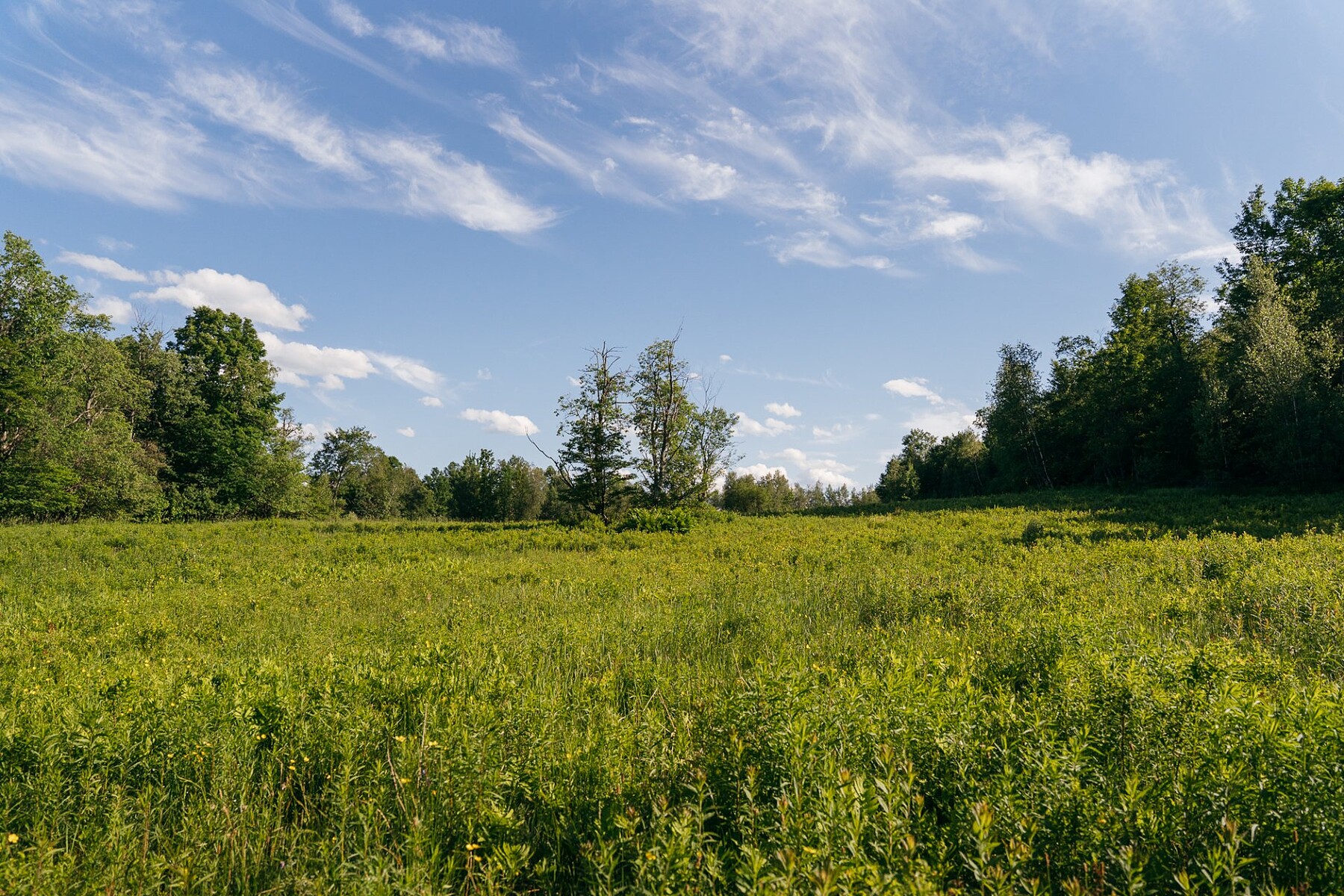  Sutton, Eastern Townships - 物件實景