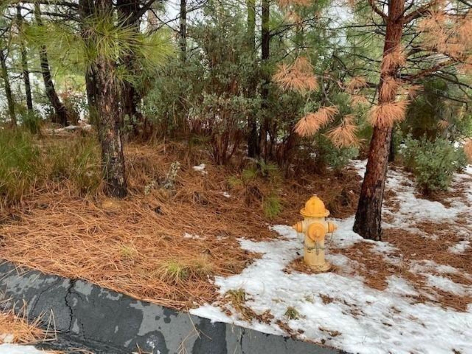  520 Lost Hill Court, Nevada City, CA 95959 - 物件實景