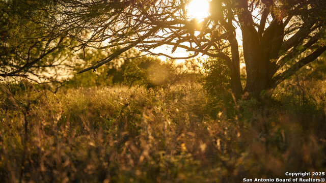 Kingsbury, Texas, 78638, United States, ,Residential,For Sale,1988121