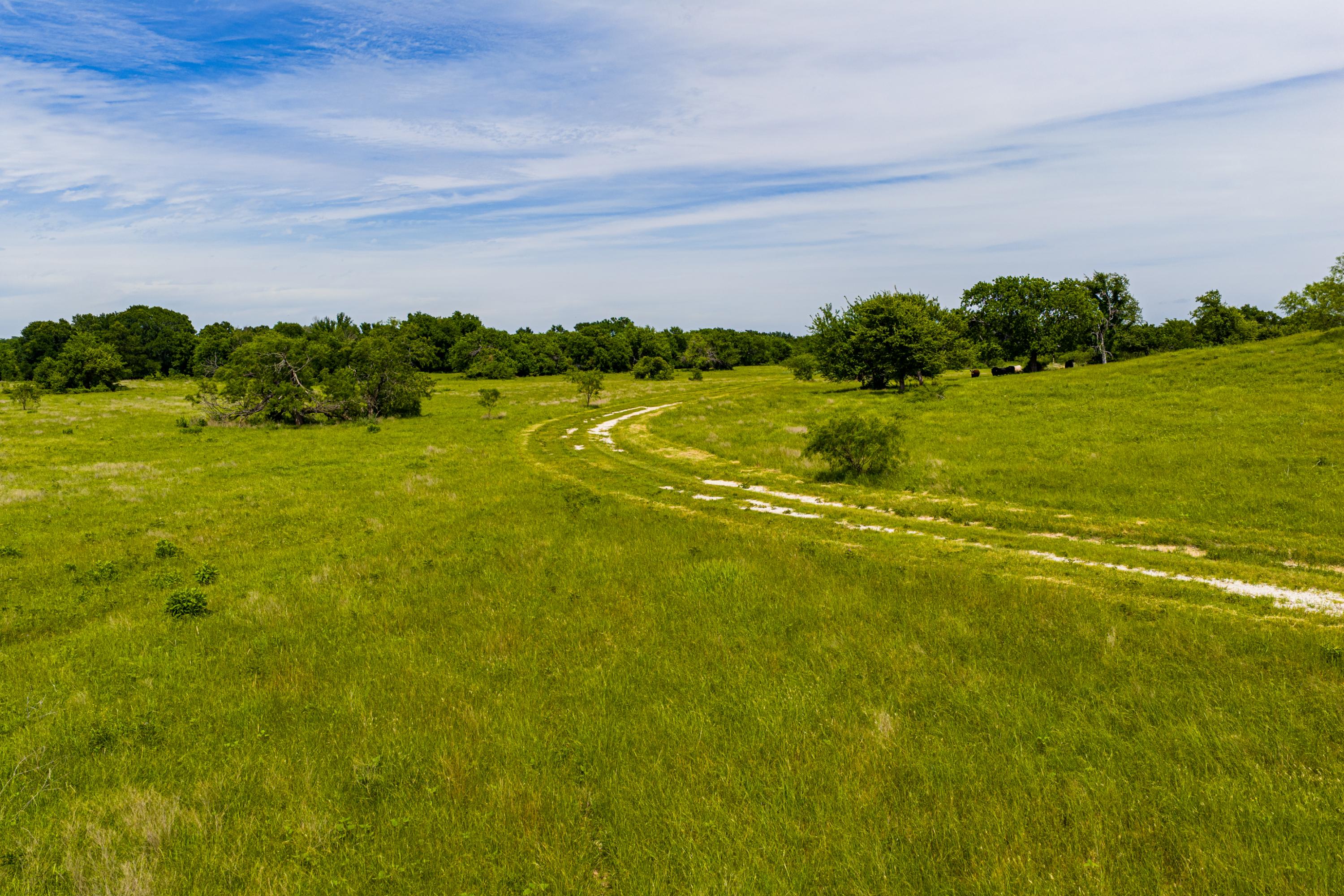  667 Acre Development Property With Two Miles Of Highway Frontage - 物件實景