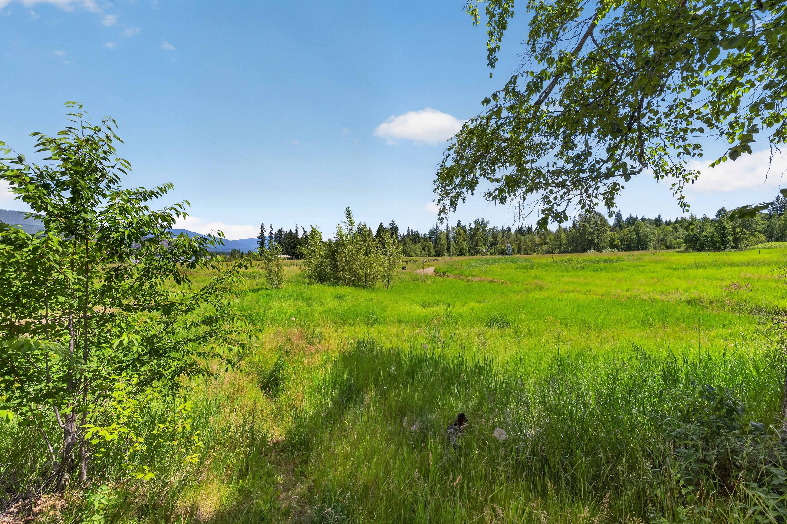  158 Acre Lakeview Homestead - 物件實景