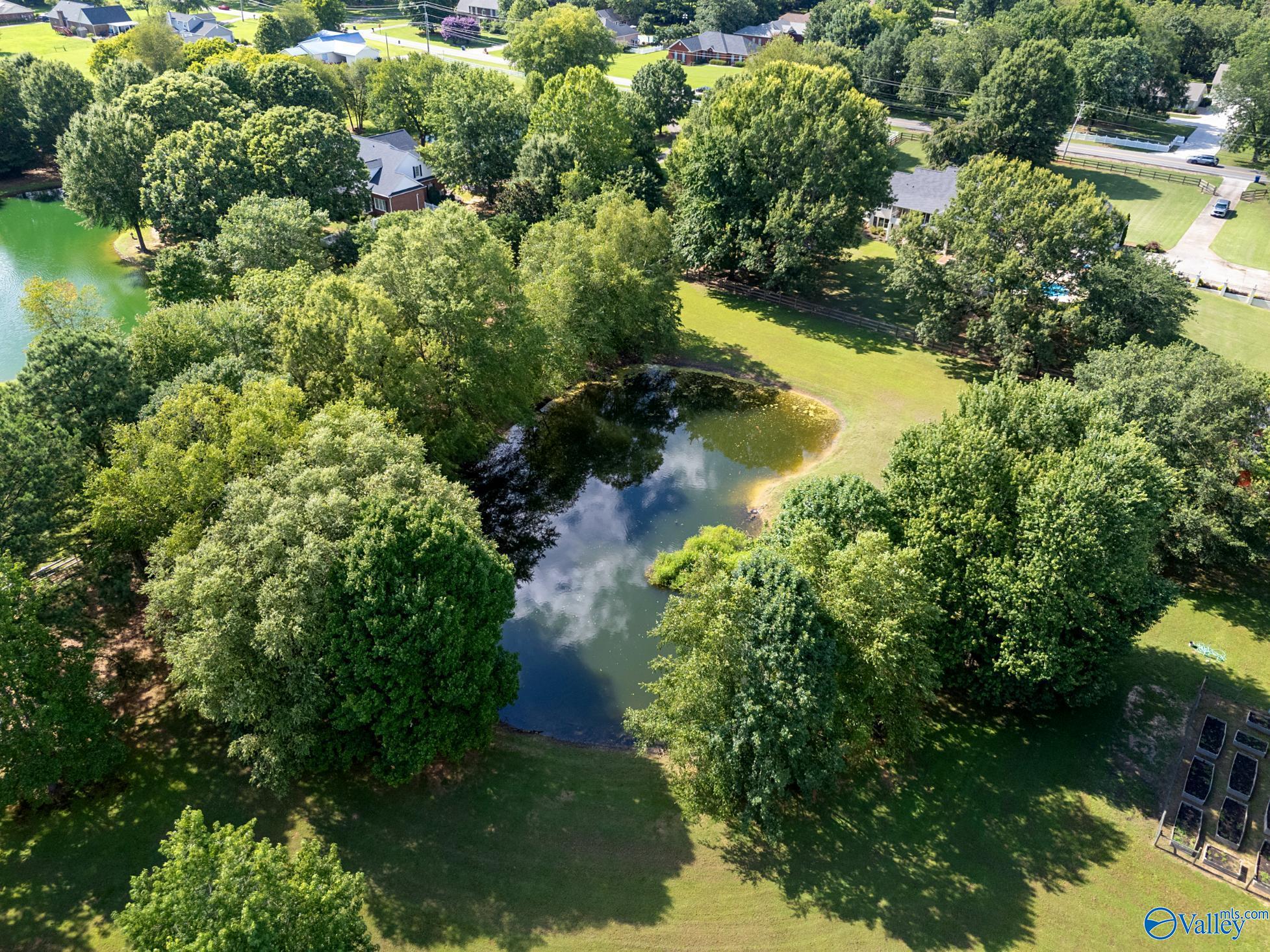  436 Mount Zion Road, Madison, AL, 35757 - 物件實景