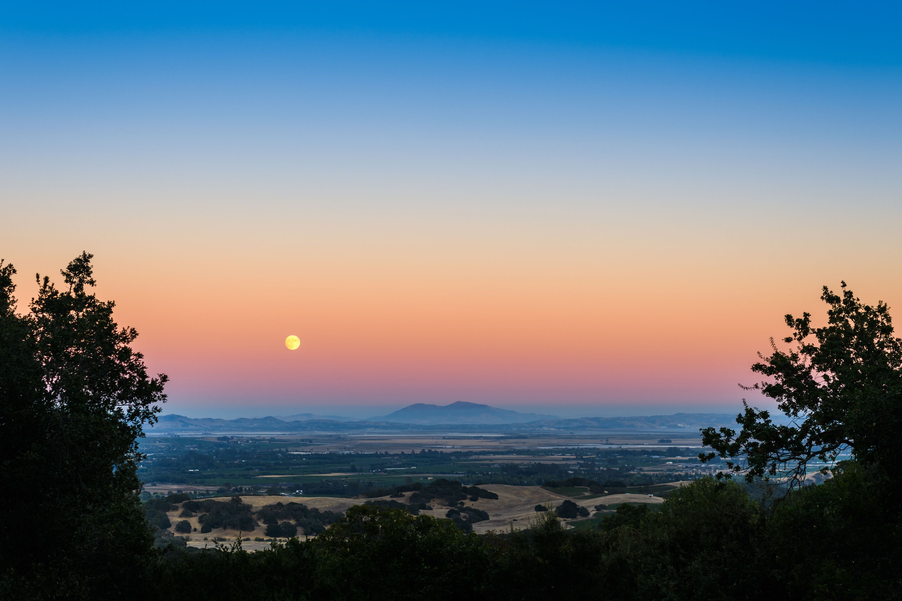  Elegance & Comfort in Sonoma - 物件實景