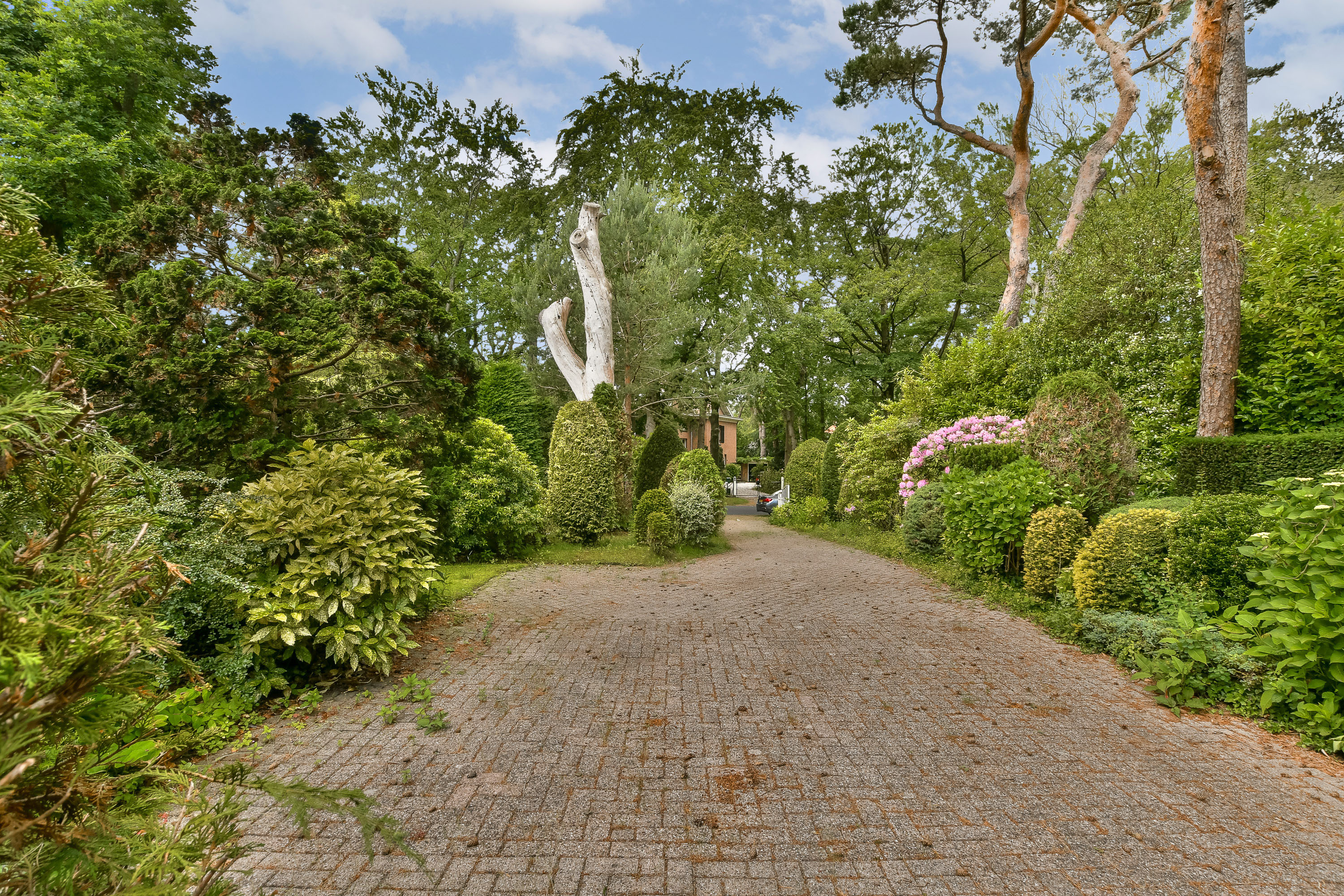  The Secret Garden of Beethovenlaan - 物件實景