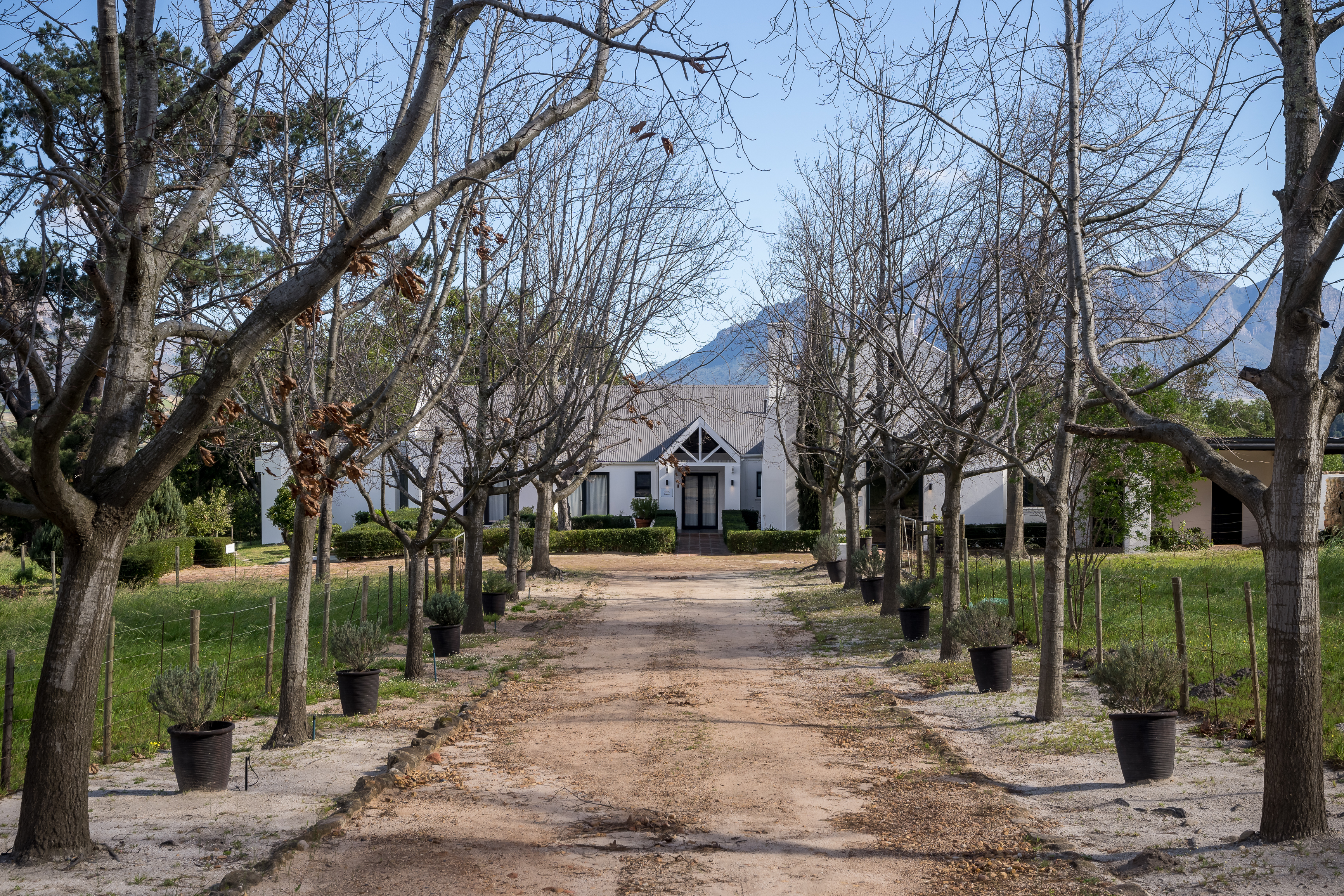  An Exceptional Boutique Wine Estate in the Heart of the Cape Winelands - 物件實景