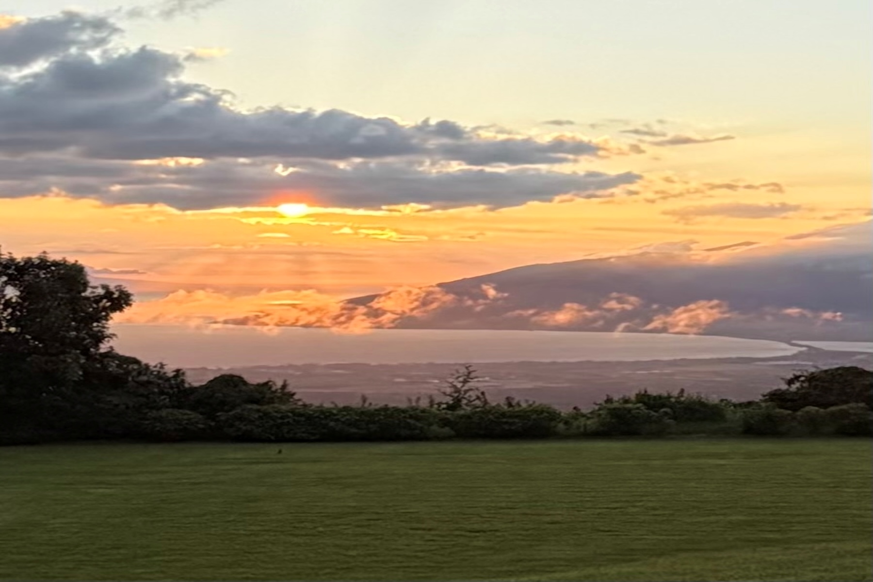  Elegant Upcountry Maui Plantation Home with views, privacy & orchard - 物件實景