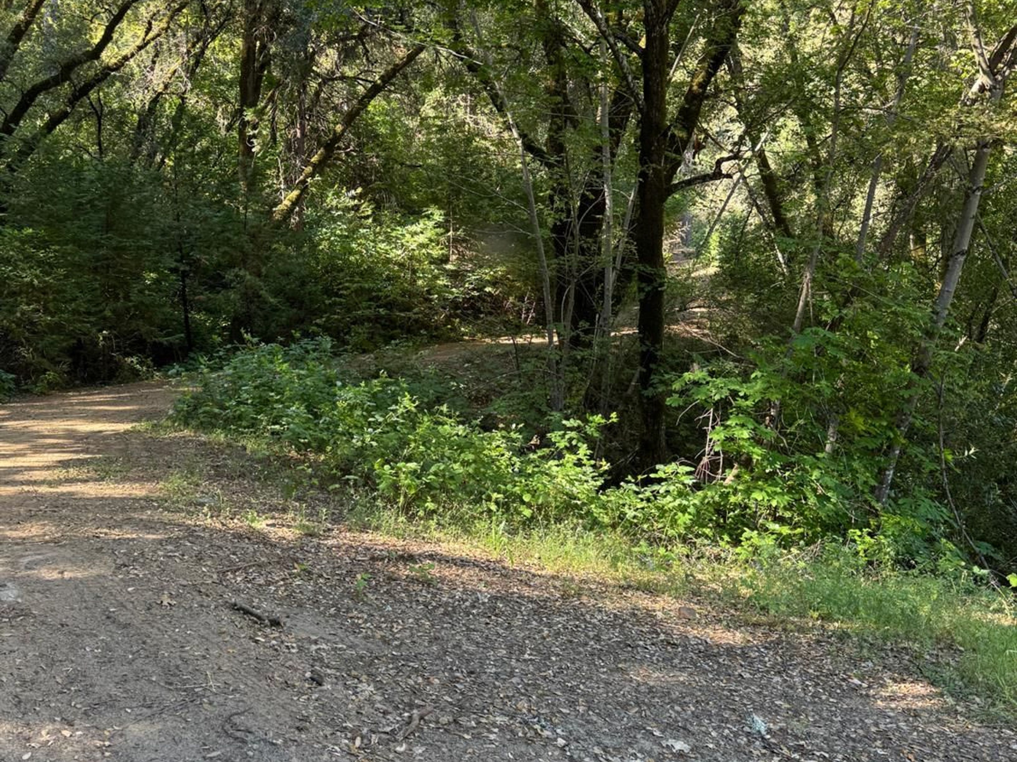 0 Old Country Road, West Point, CA 95255 - 物件實景