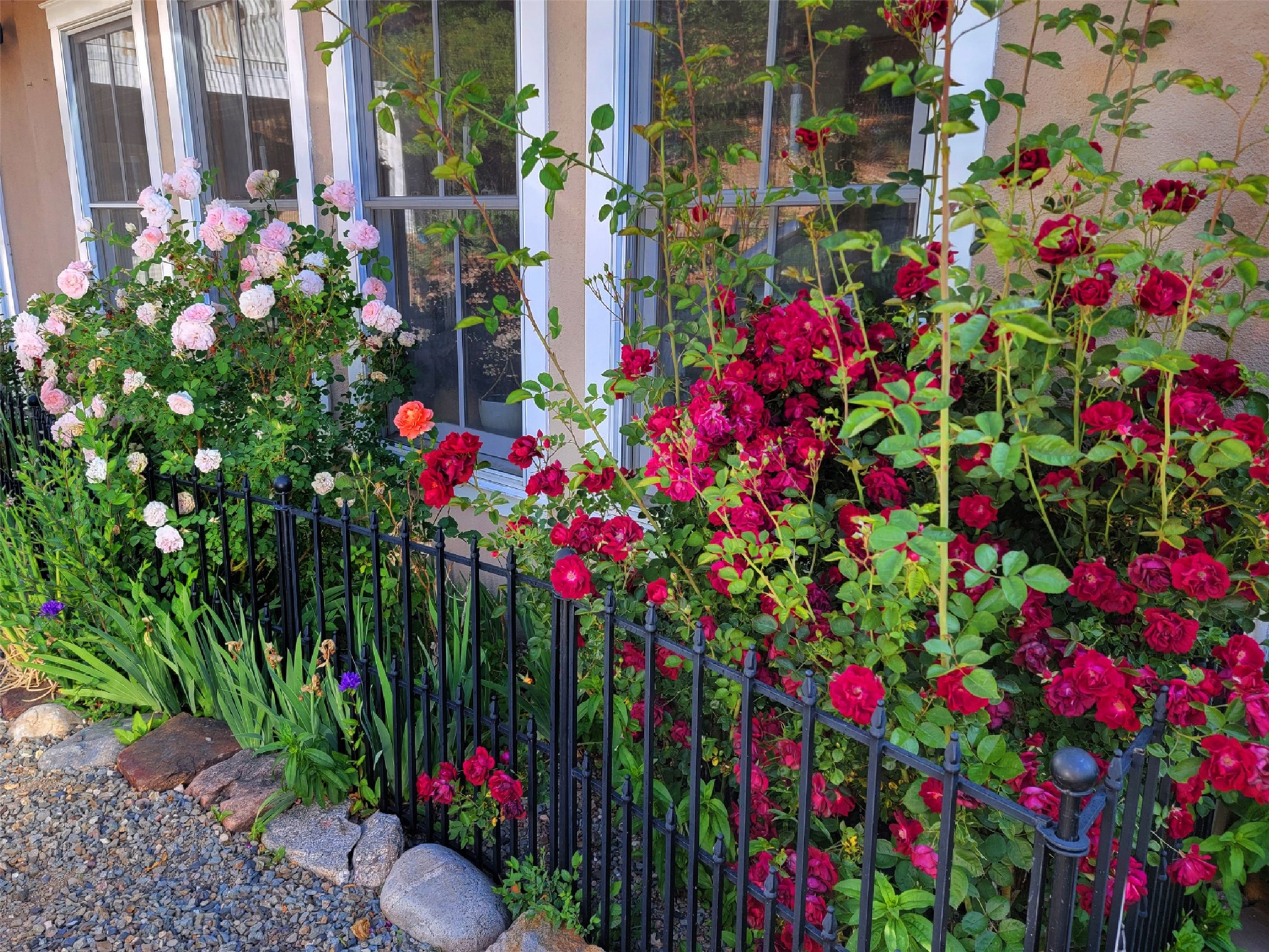  7 Camino De Pastores #A & #B - 物件實景