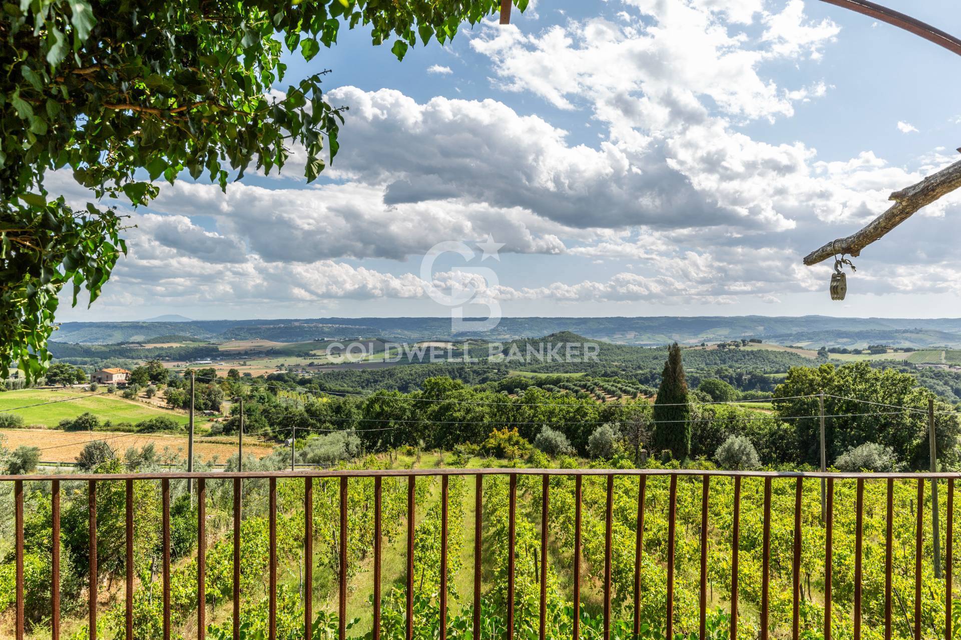 Strada Poggi, Orvieto, Terni, 05018, IT, 20 Bedrooms Bedrooms, ,10 BathroomsBathrooms,Residential,For Sale,Strada Poggi,1668933