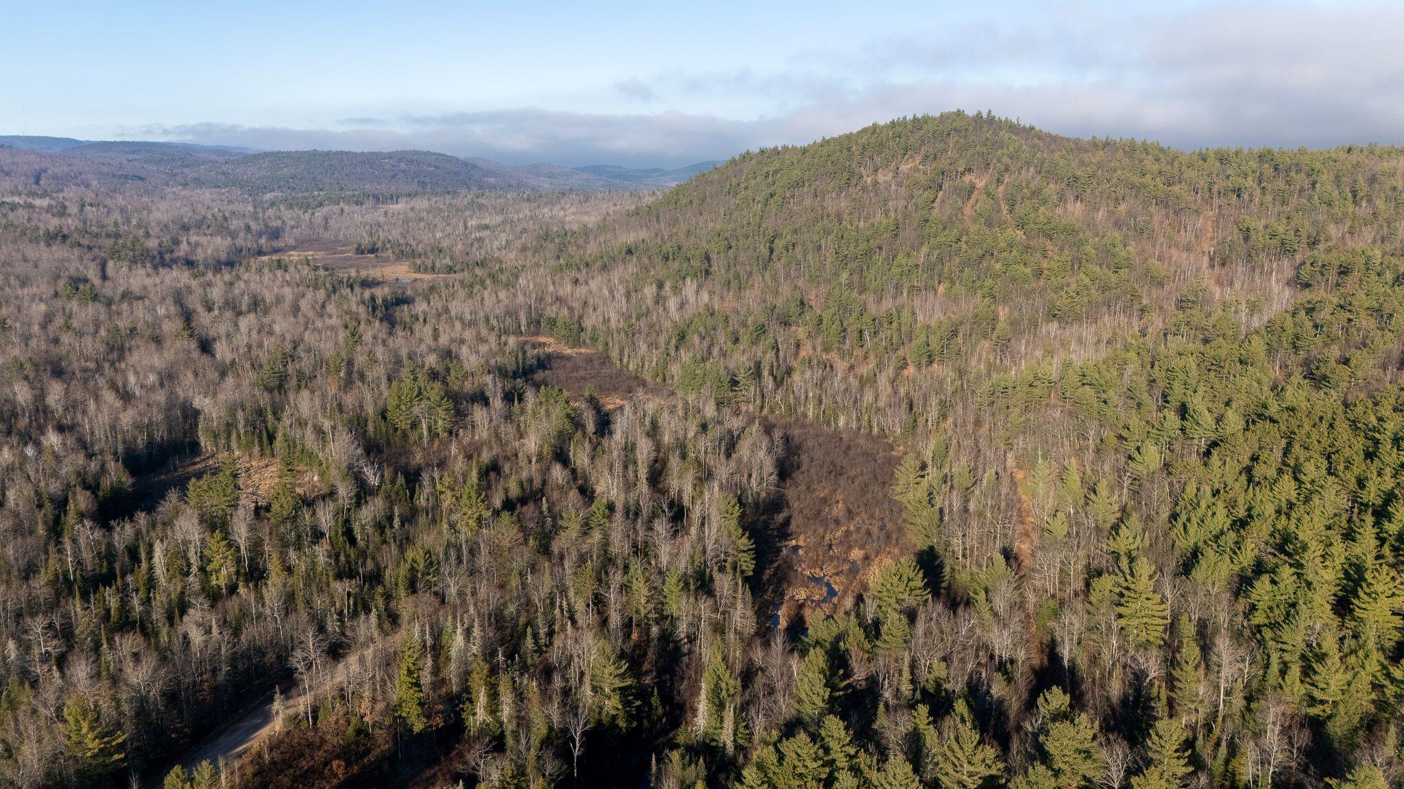 358 Buck Hill Road, Black Brook, New York, 12912, United States, ,Land,For Sale,358 Buck Hill Road,1675240