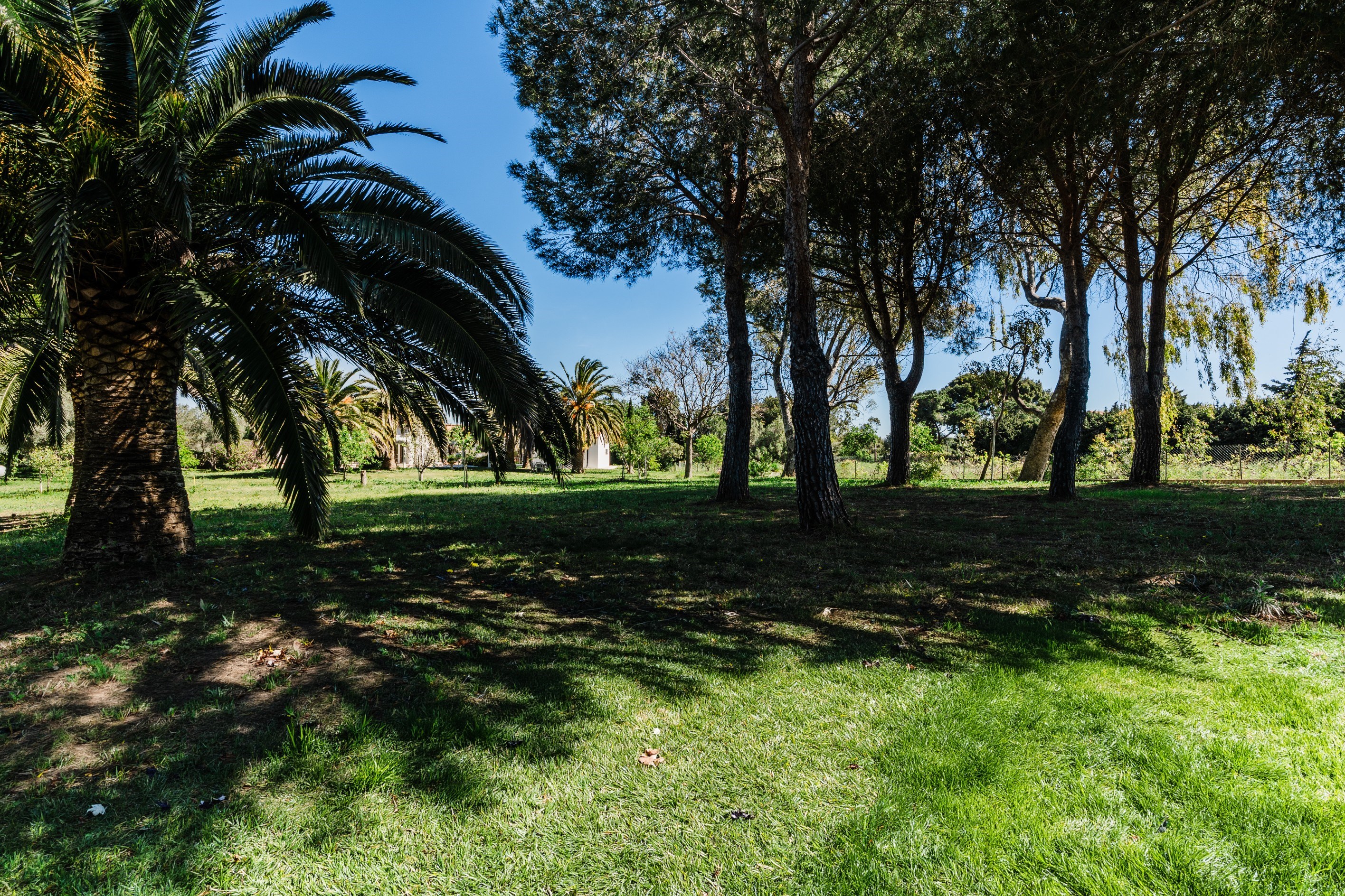  Building Plot – Mas Vermeil - 物件實景