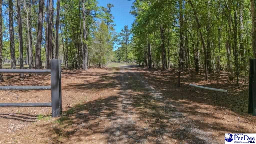 1315 Hill Harrell Road, Effingham, South Carolina, 29541-3179, United States, ,Land,For Sale,1315 Hill Harrell Road,1501598