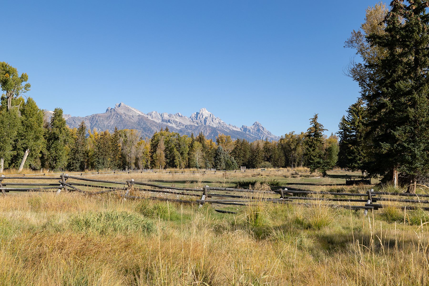  Wapiti Retreat - 物件實景