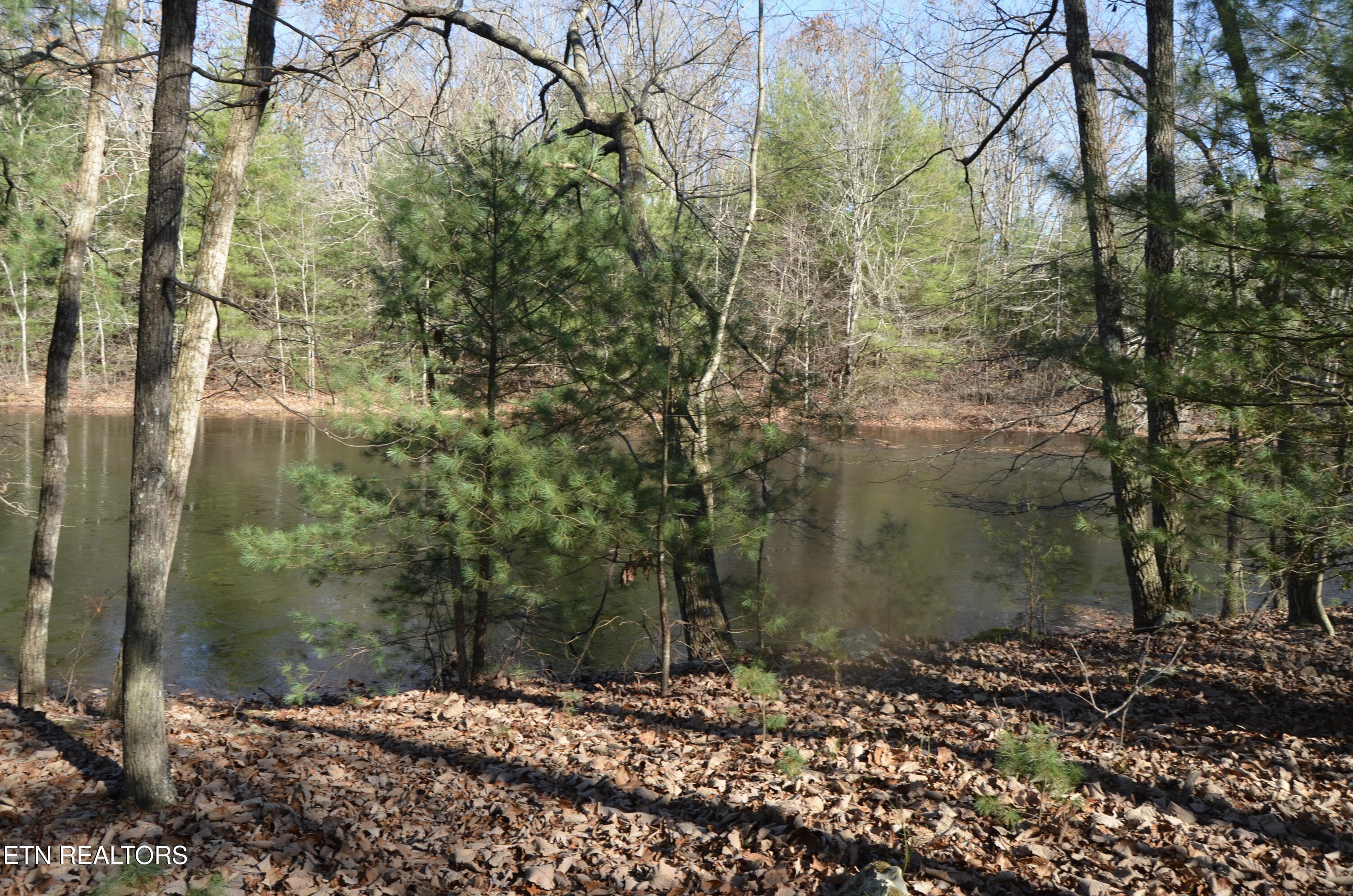 Crossville, Tennessee, 38555, United States, ,Land,For Sale,1978266