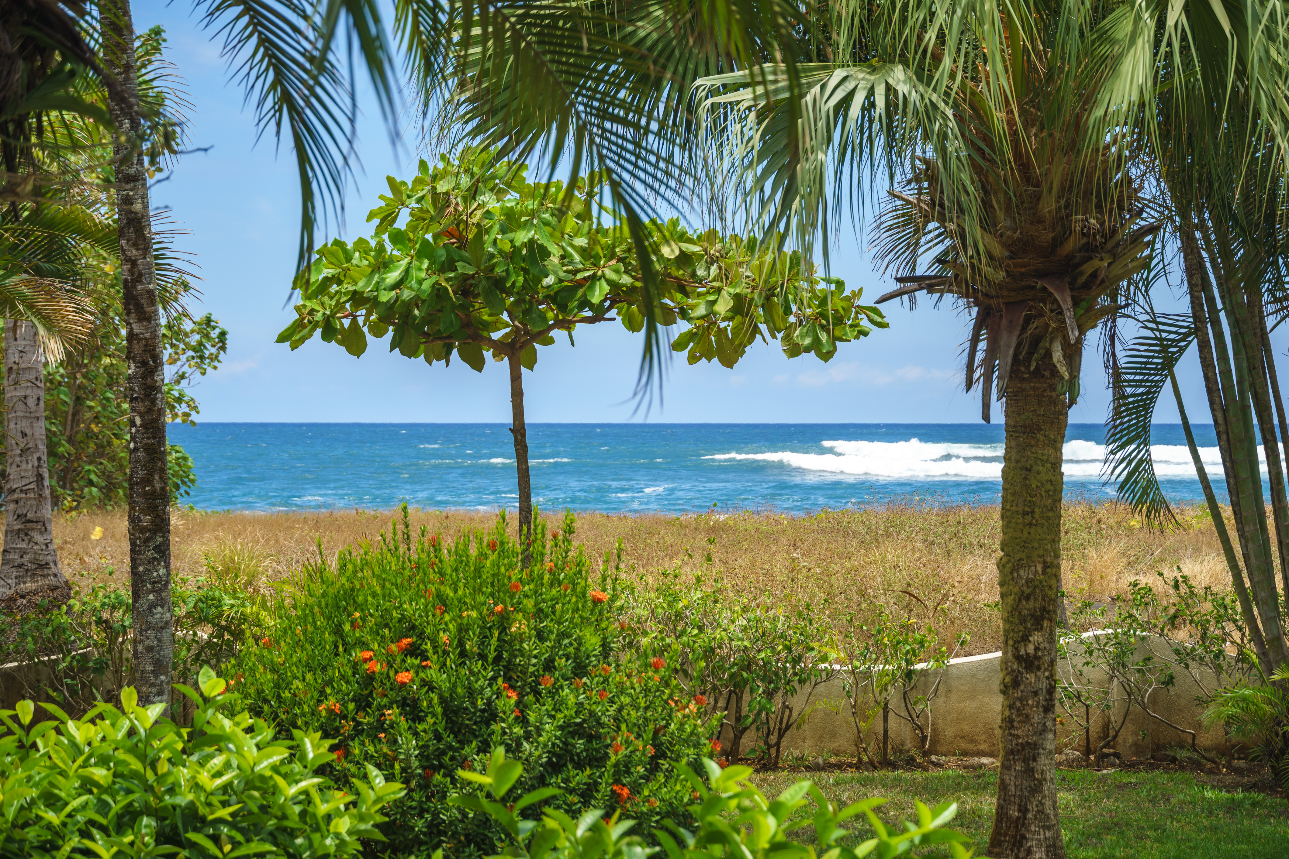 Junquillal, Guanacaste, CR, 2 Bedrooms Bedrooms, ,2 BathroomsBathrooms,Residential,For Sale,1792792