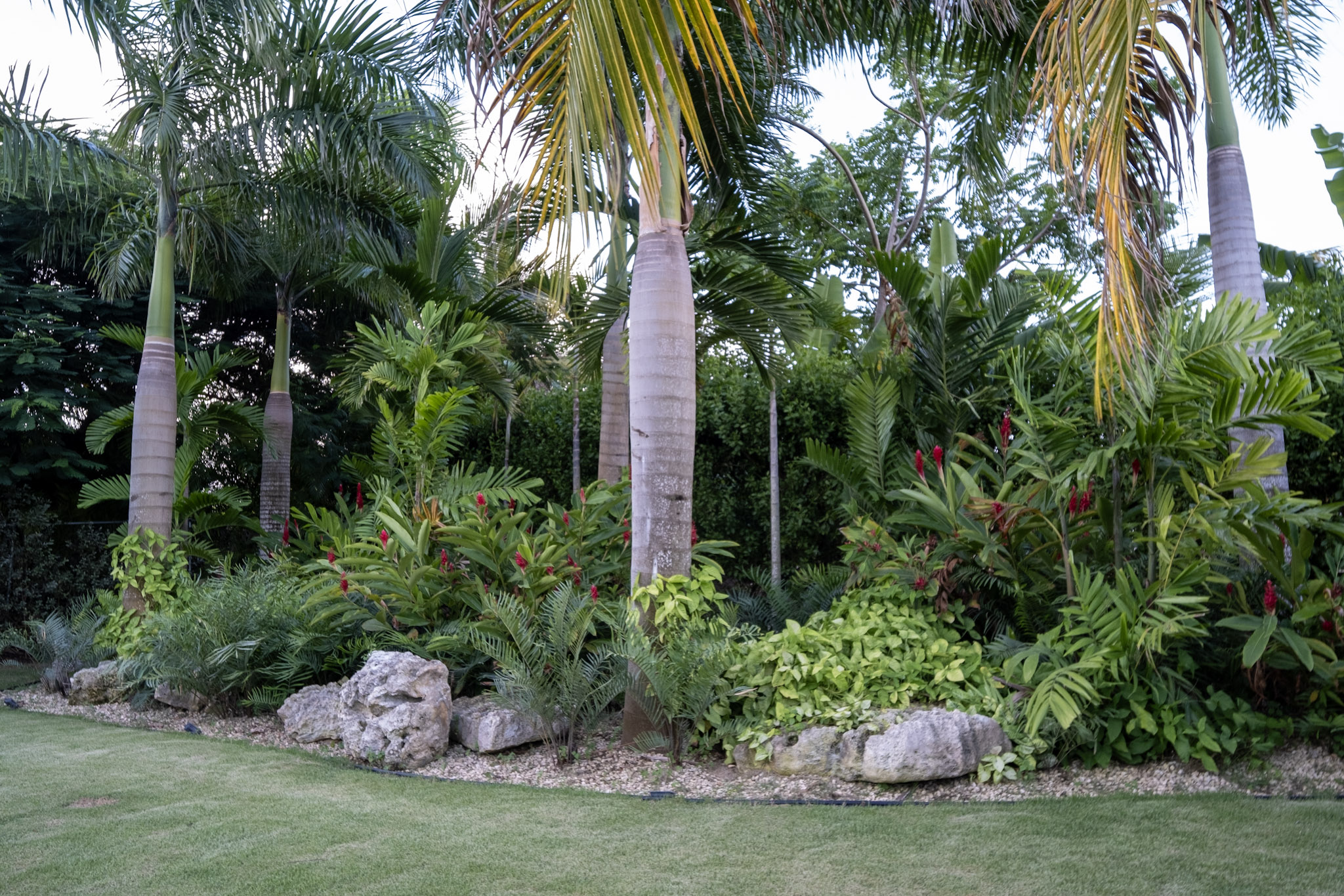 Cap Cana, DO, 3 Bedrooms Bedrooms, ,4 BathroomsBathrooms,Residential,For Sale,2003206