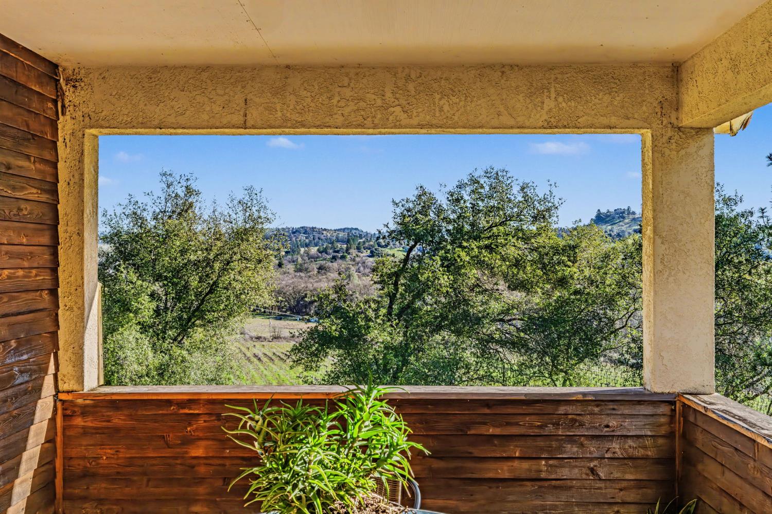 Plymouth, California, 95669, United States, 3 Bedrooms Bedrooms, ,3 BathroomsBathrooms,Residential,For Sale,1979143