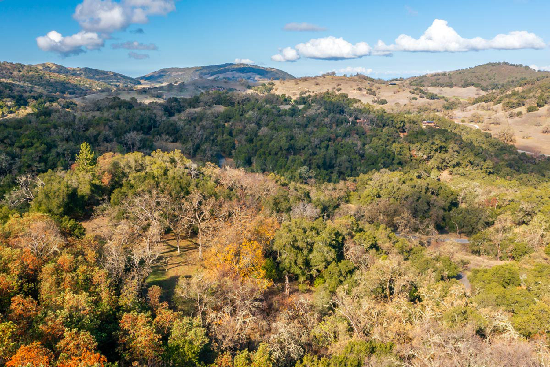  36 Arroyo Sequoia - 物件實景