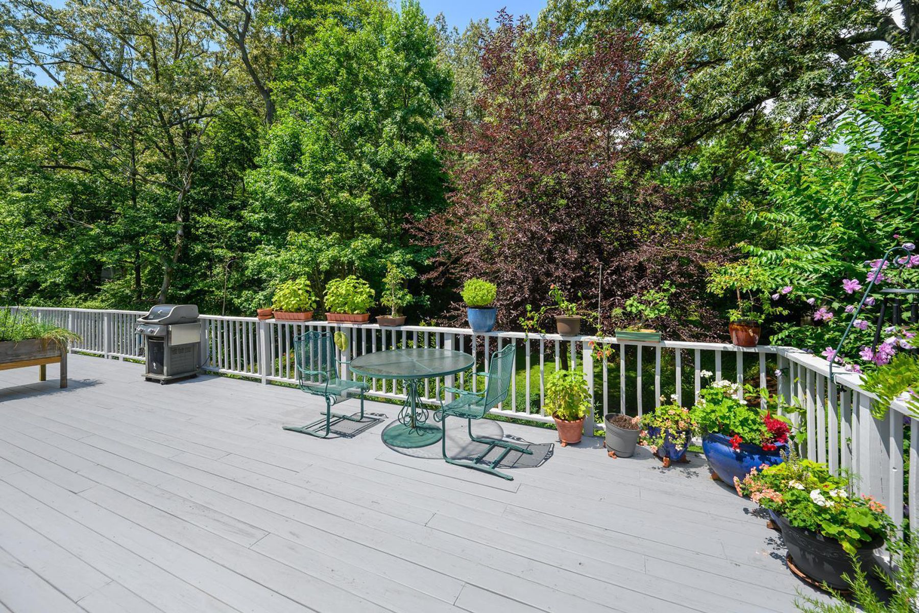  216 Birch Run Road, Chestertown, MD, 21620 - 物件實景