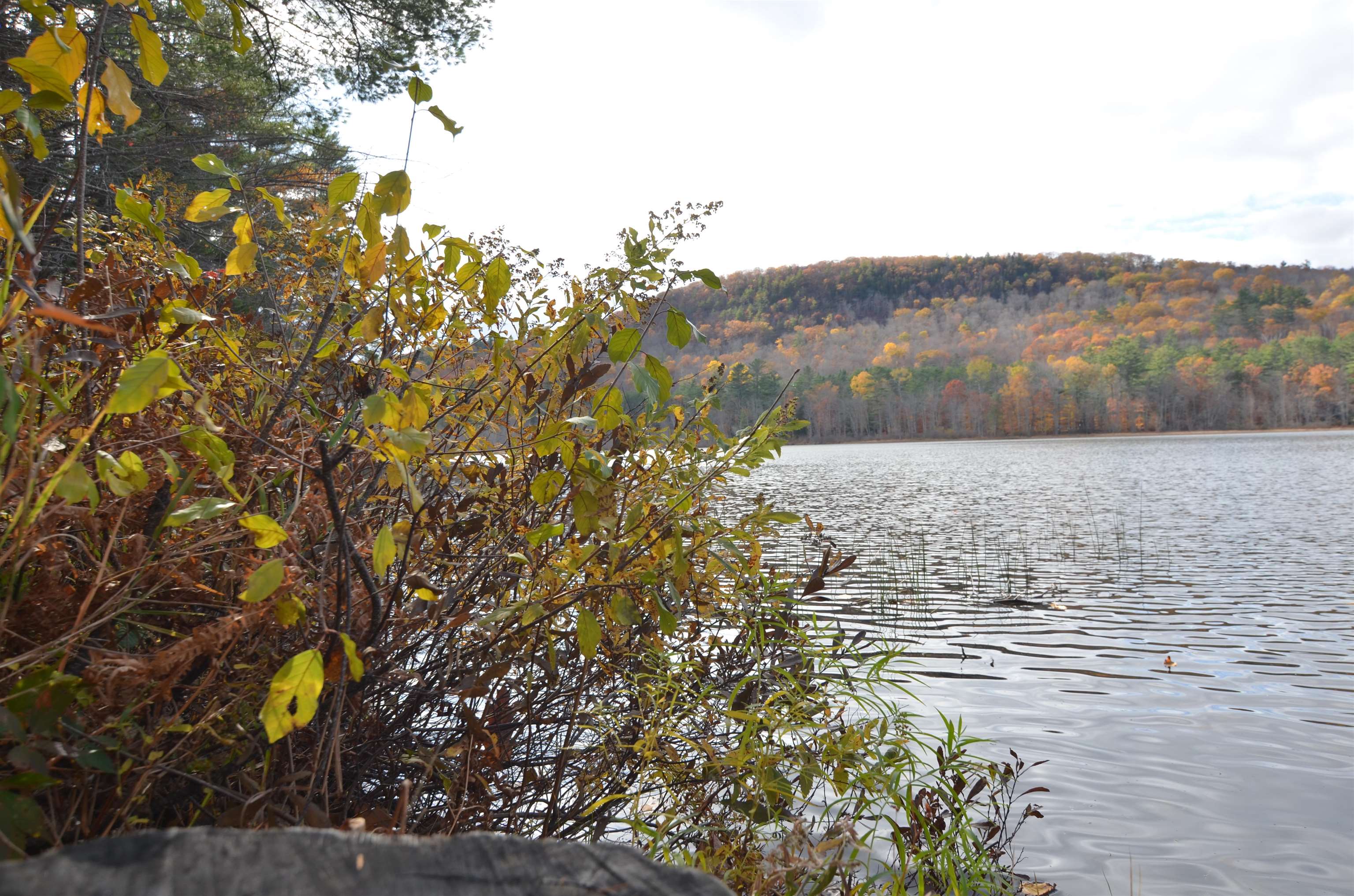 Grantham, New Hampshire, 03753, United States, 4 Bedrooms Bedrooms, ,1 BathroomBathrooms,Residential,For Sale,1992812