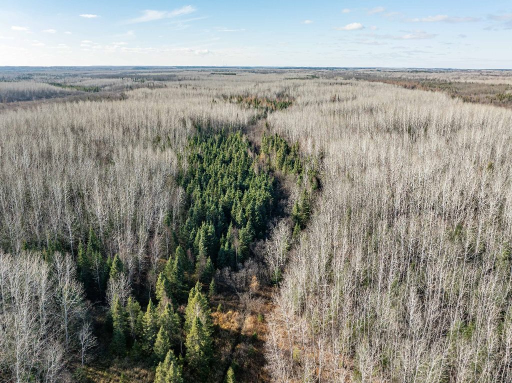 Grand Rapids, Minnesota, 55744, United States, ,Land,For Sale,1983791