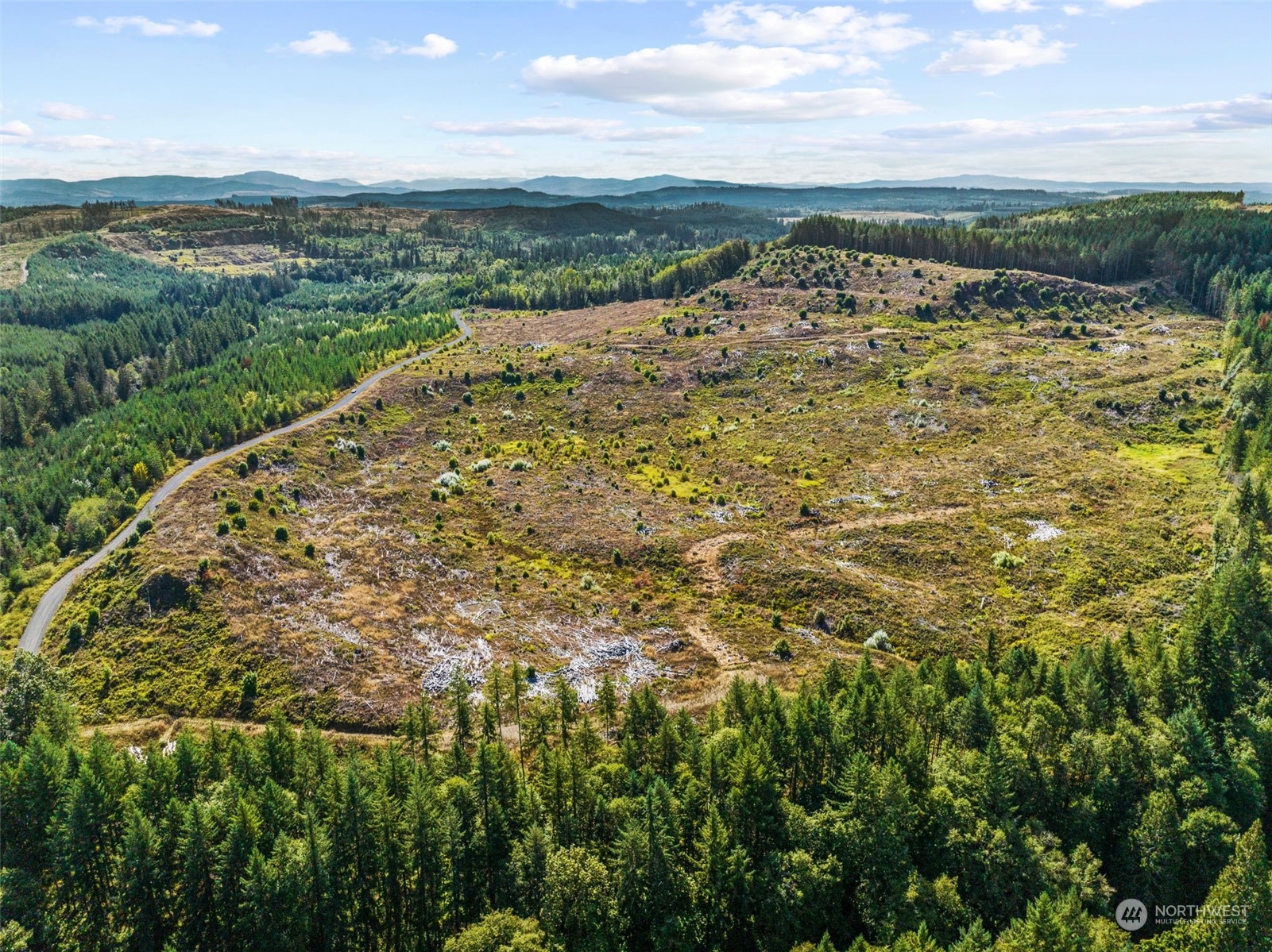 0 Salmon Creek Road, Toledo, Washington, 98591, United States, ,Land,For Sale,0 Salmon Creek Road,1445905