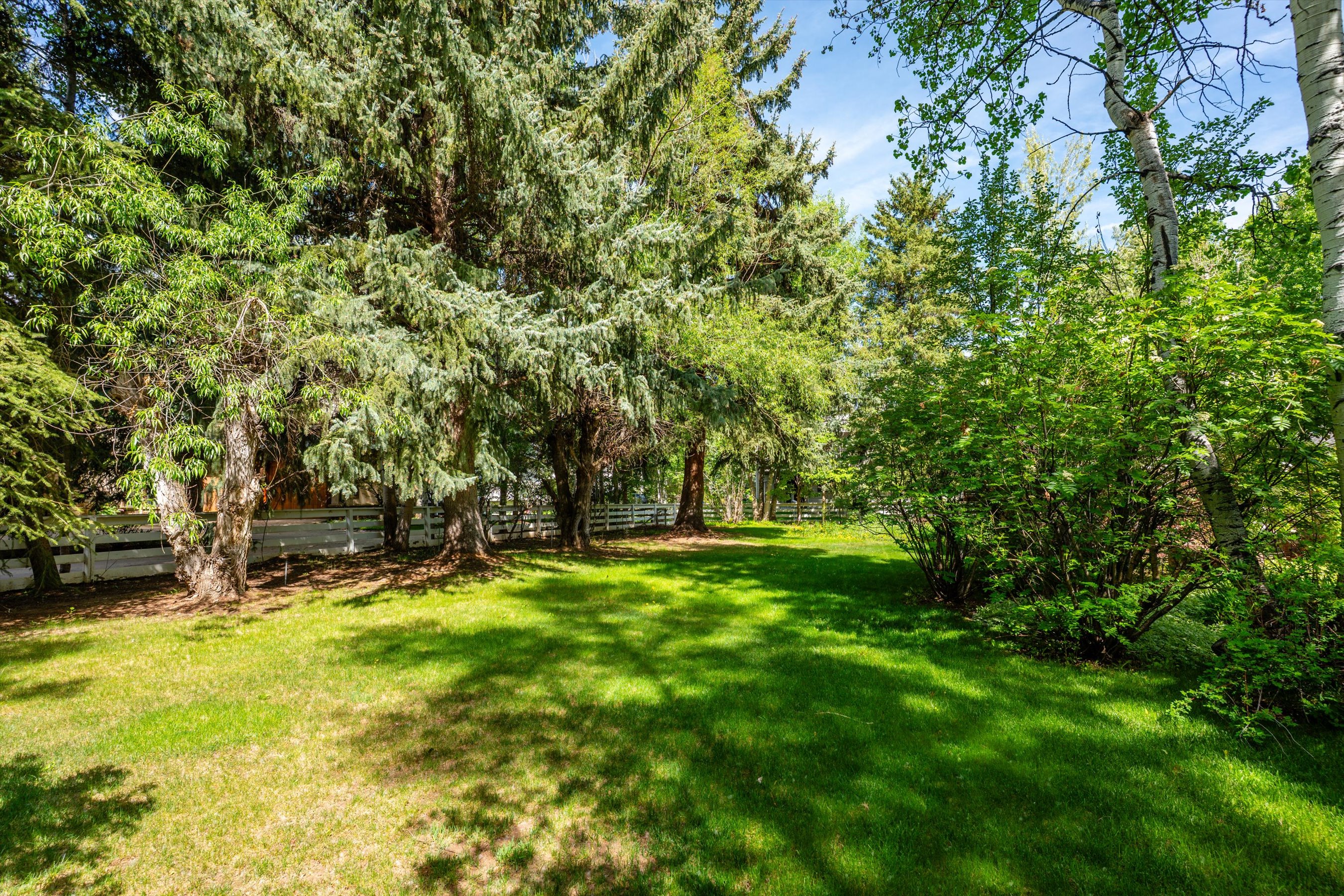  875 Bonita Drive, Aspen, CO 81611 - 物件實景