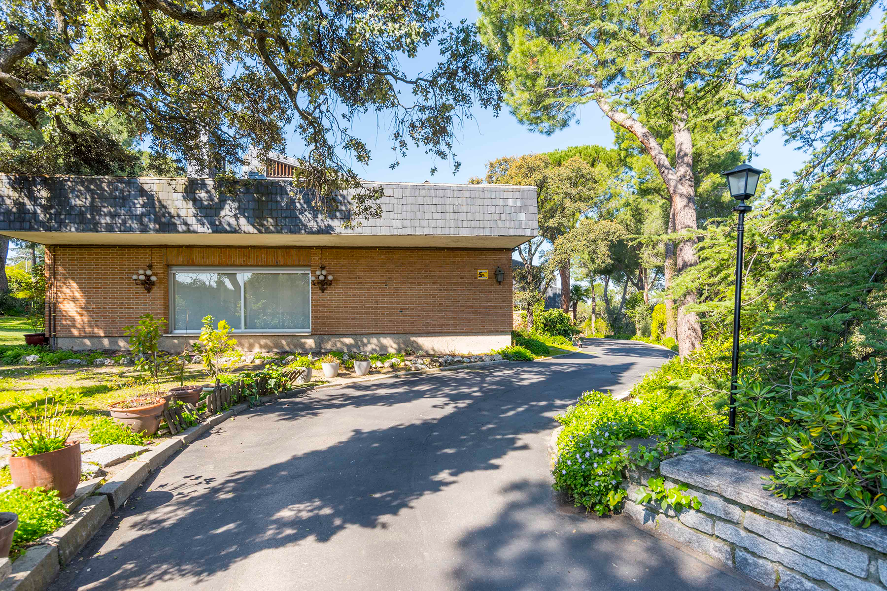  Wonderful hectare plot in La Moraleja - 物件實景