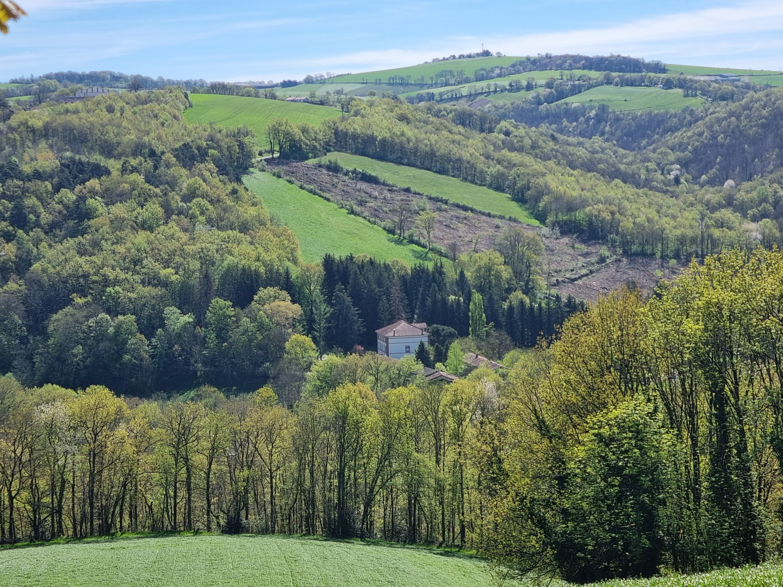  ALBI (30 MIN) - MANSION - 552 M2 - LAND 4 HA - 物件實景