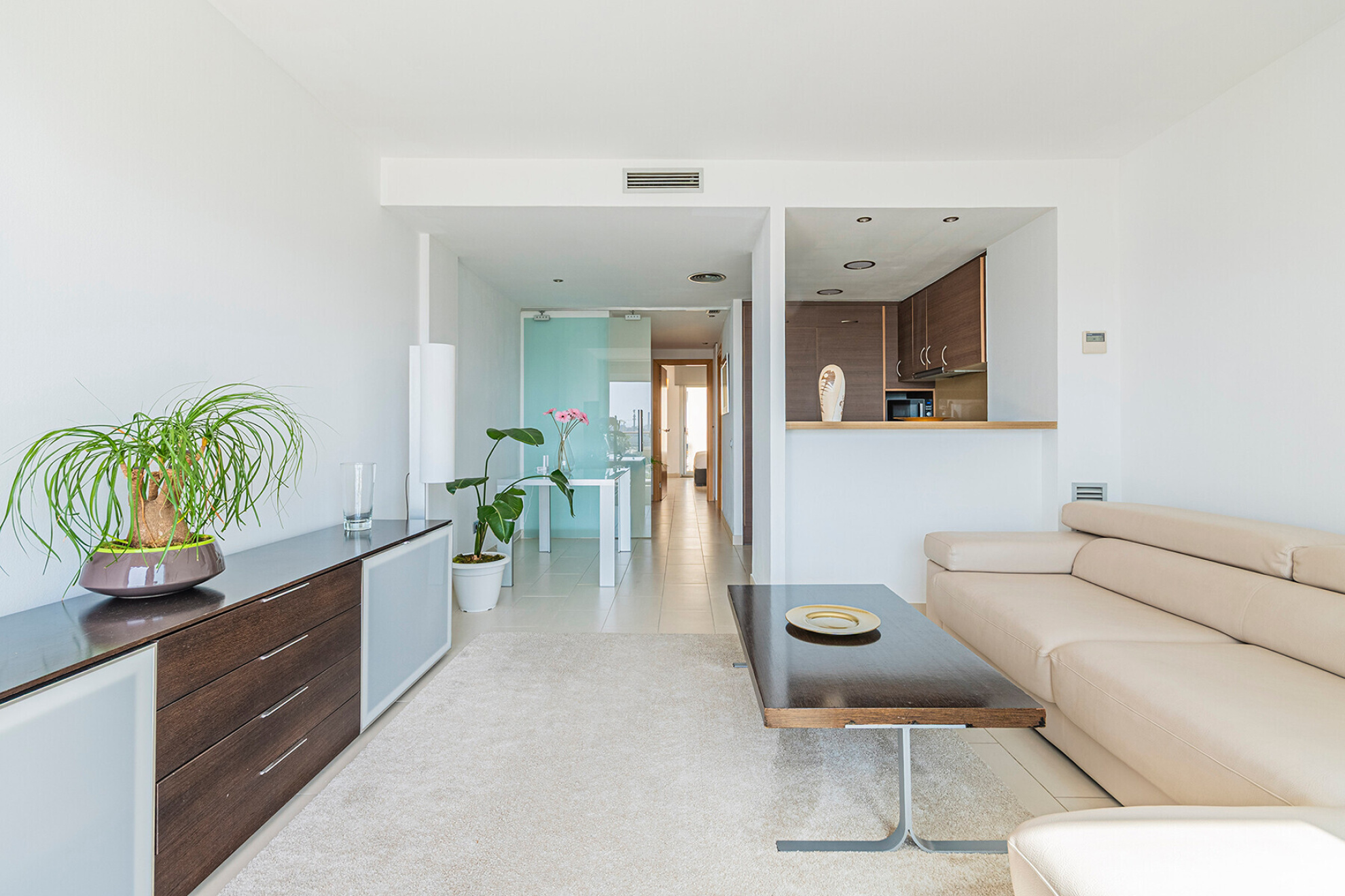  Penthouse with private terrace and sea views - 物件實景