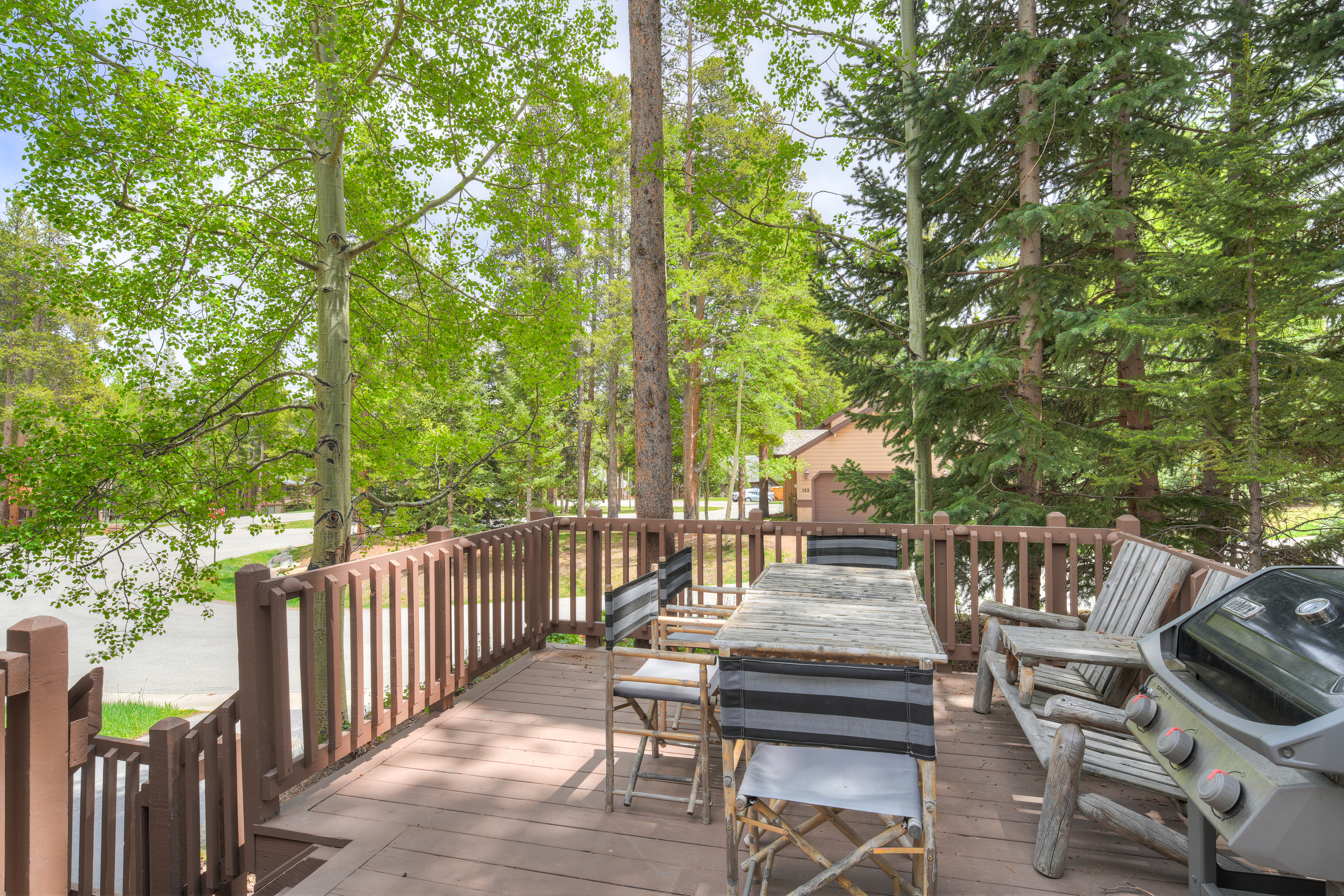  114 Park Forest Drive, Breckenridge, CO, 80424 - 物件實景
