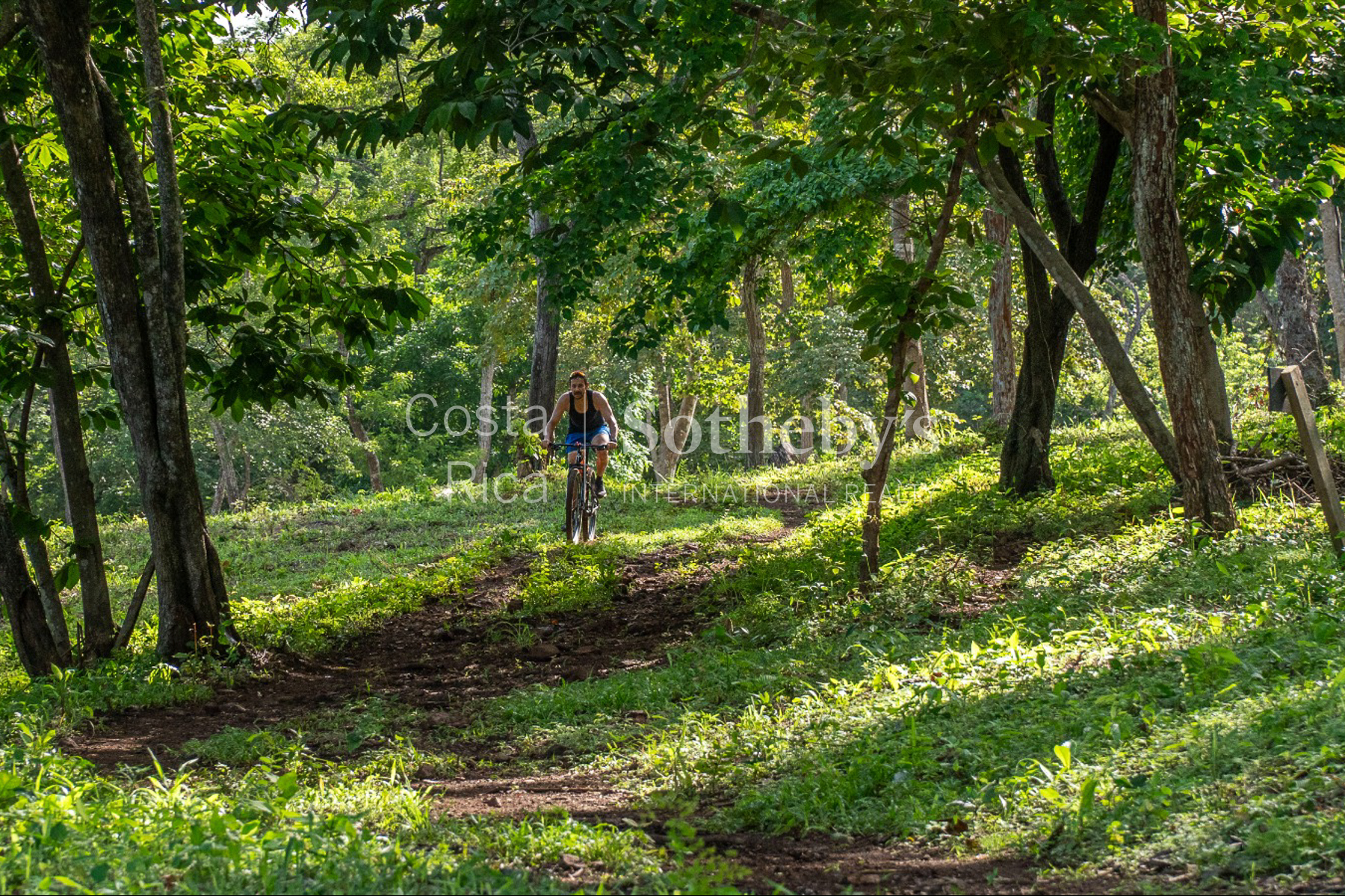  Hilltop Ocean View Tamarindo Villa - 物件實景