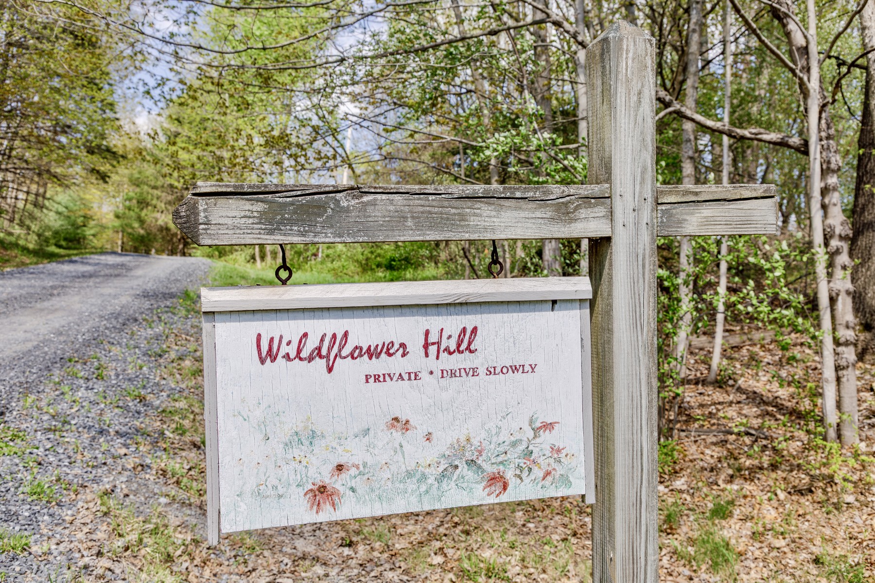  Wildflower Hill - 物件實景