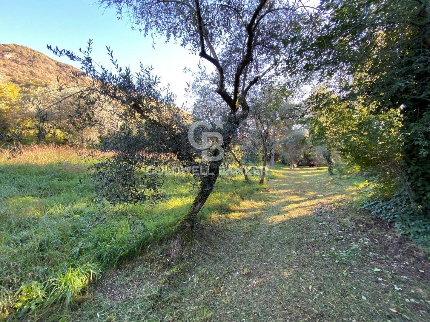 Viale dei Colli, Salò, Brescia, 25087, IT, 5 Bedrooms Bedrooms, ,4 BathroomsBathrooms,Residential,For Sale,Viale dei Colli,1612716