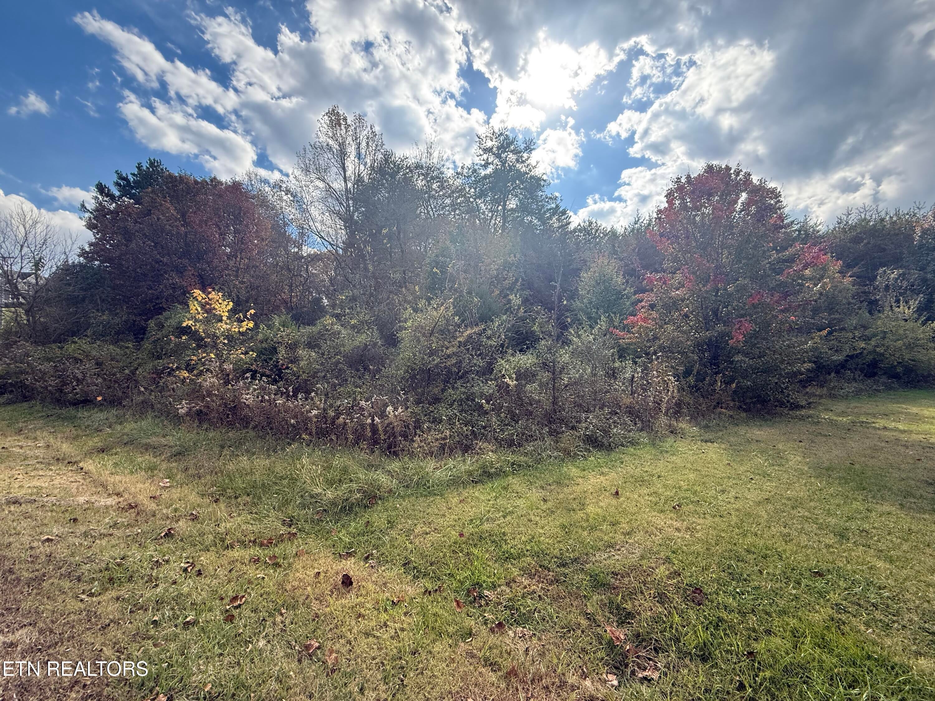 Maryville, Tennessee, 37801, United States, ,Land,For Sale,1989210