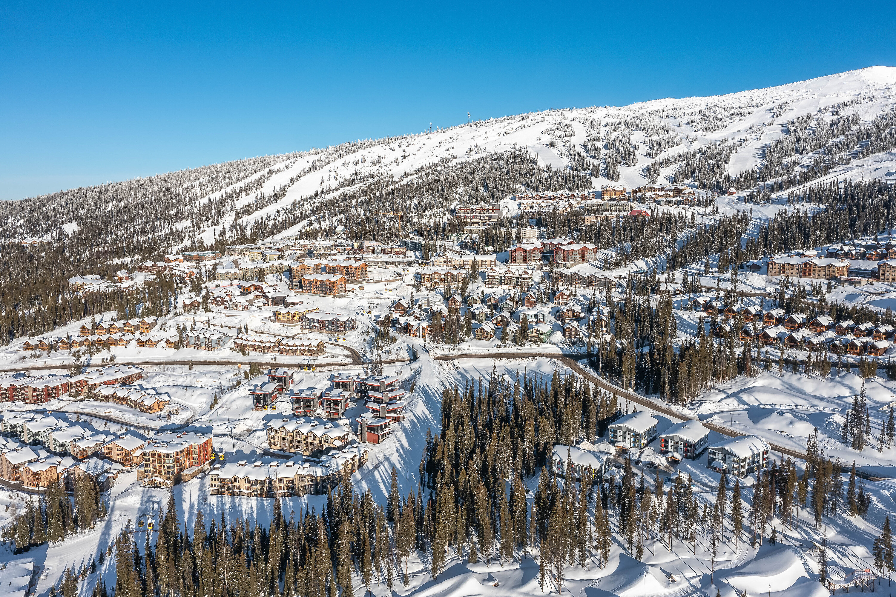  The Timbers at Big White - 物件實景