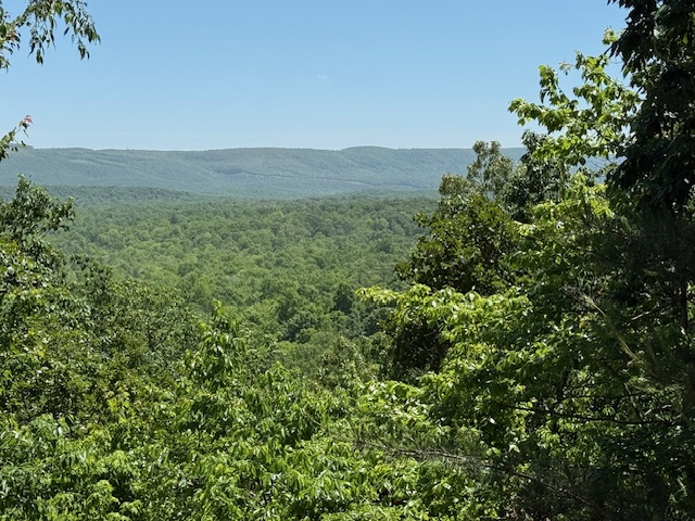 Crossville, Tennessee, 38558, United States, 3 Bedrooms Bedrooms, ,2 BathroomsBathrooms,Residential,For Sale,1979949