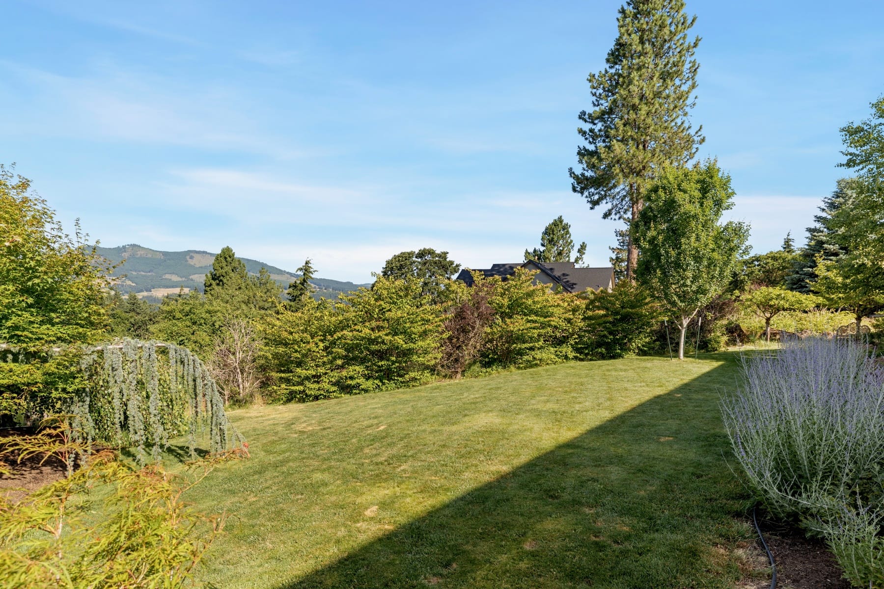  153 Palos Verdes White Salmon, WA 98672 - 物件實景