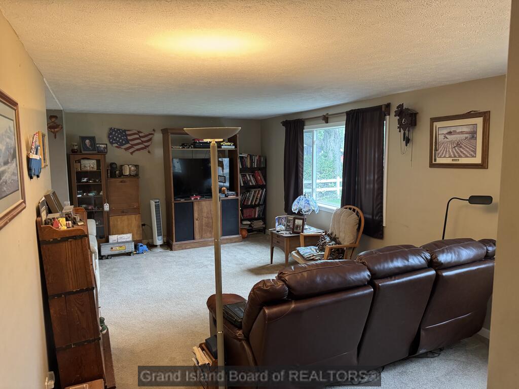 12th St, Wood River, NE 68883 #1