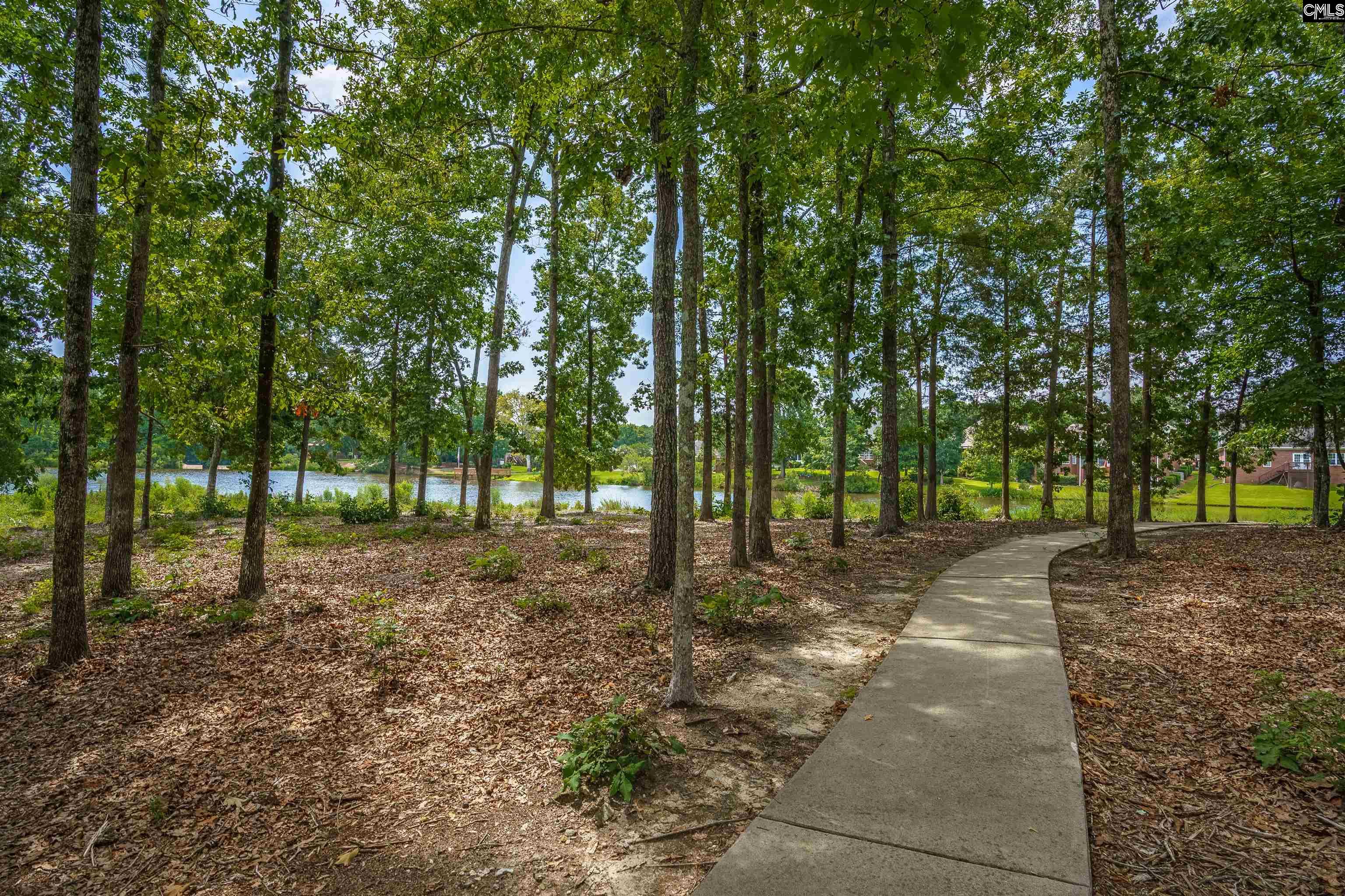 Chapin, South Carolina, 29036, United States, 5 Bedrooms Bedrooms, ,3 BathroomsBathrooms,Residential,For Sale,1934292