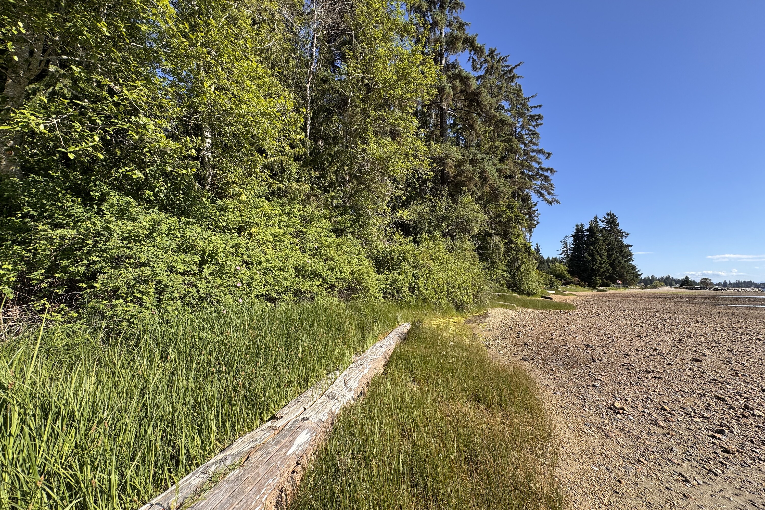  Sechelt, Sunshine Coast - 物件實景