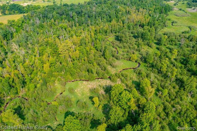 000 Willis Road, Burnside Twp, Michigan, 48416, United States, ,Land,For Sale,000 Willis Road,1288275