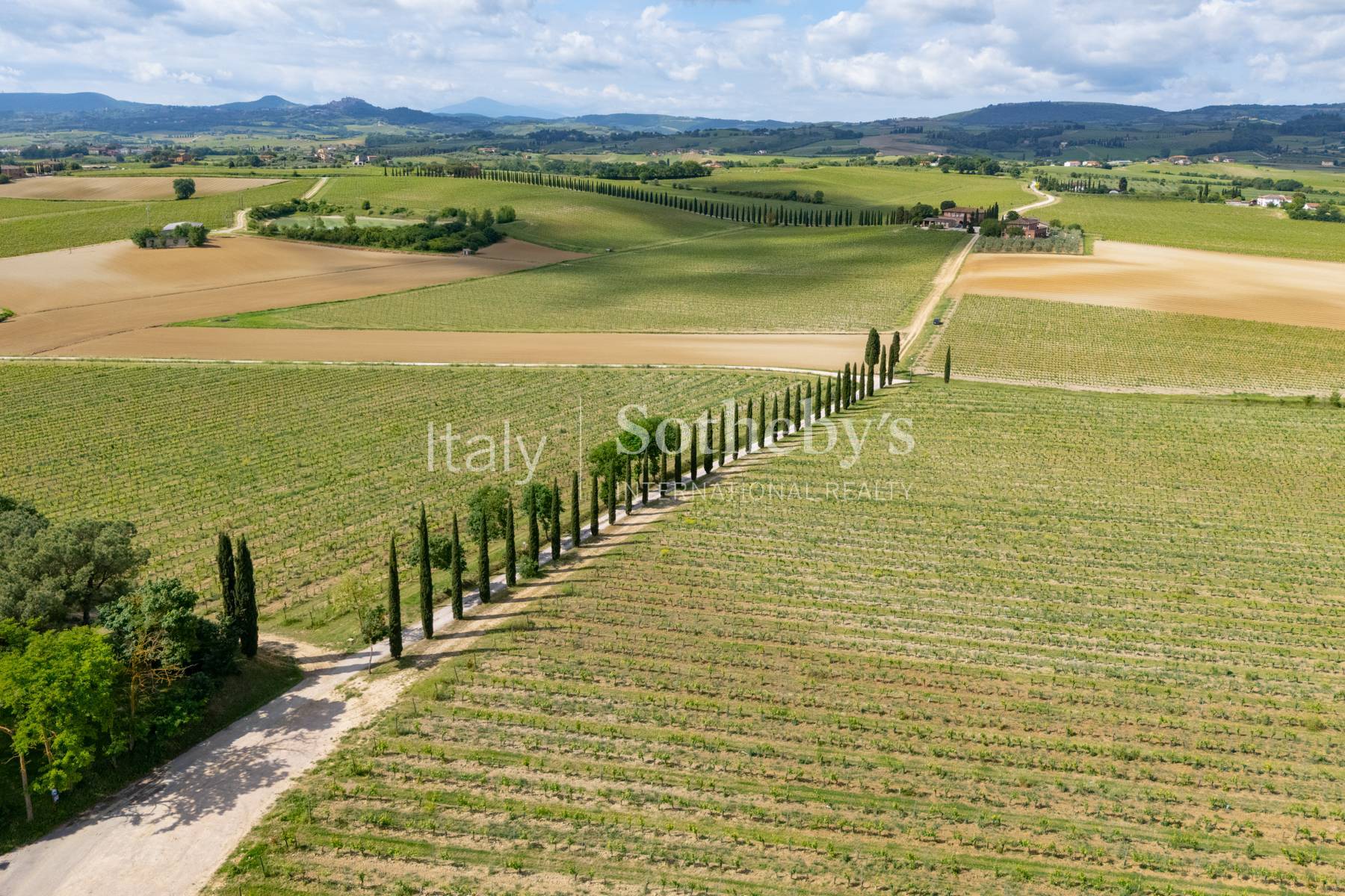  Refined wine estate with agritourism - 物件實景