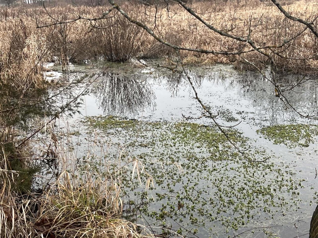 Blue River, Wisconsin, 53518, United States, 3 Bedrooms Bedrooms, ,3 BathroomsBathrooms,Residential,For Sale,2009301