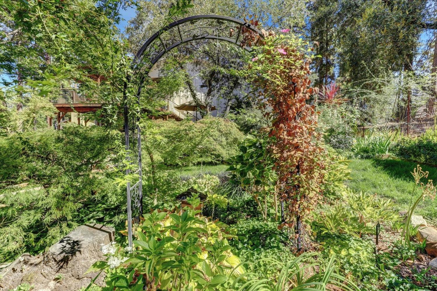 12252 Francis Drive, Grass Valley, California, 95949, United States, 3 Bedrooms Bedrooms, ,2 BathroomsBathrooms,Residential,For Sale,12252 Francis Drive,1631801