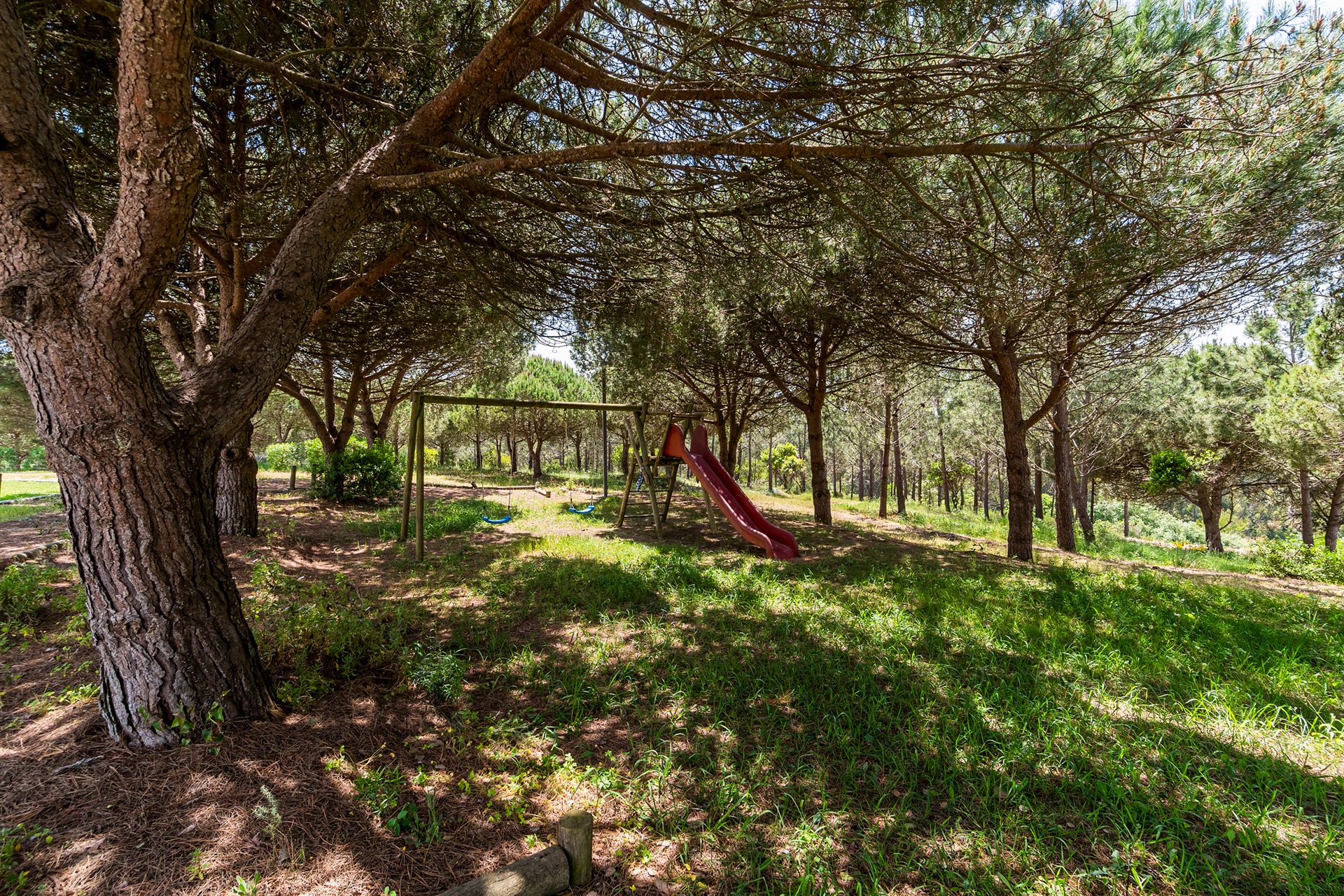  Country Estate, 12 bedrooms, for Sale - 物件實景