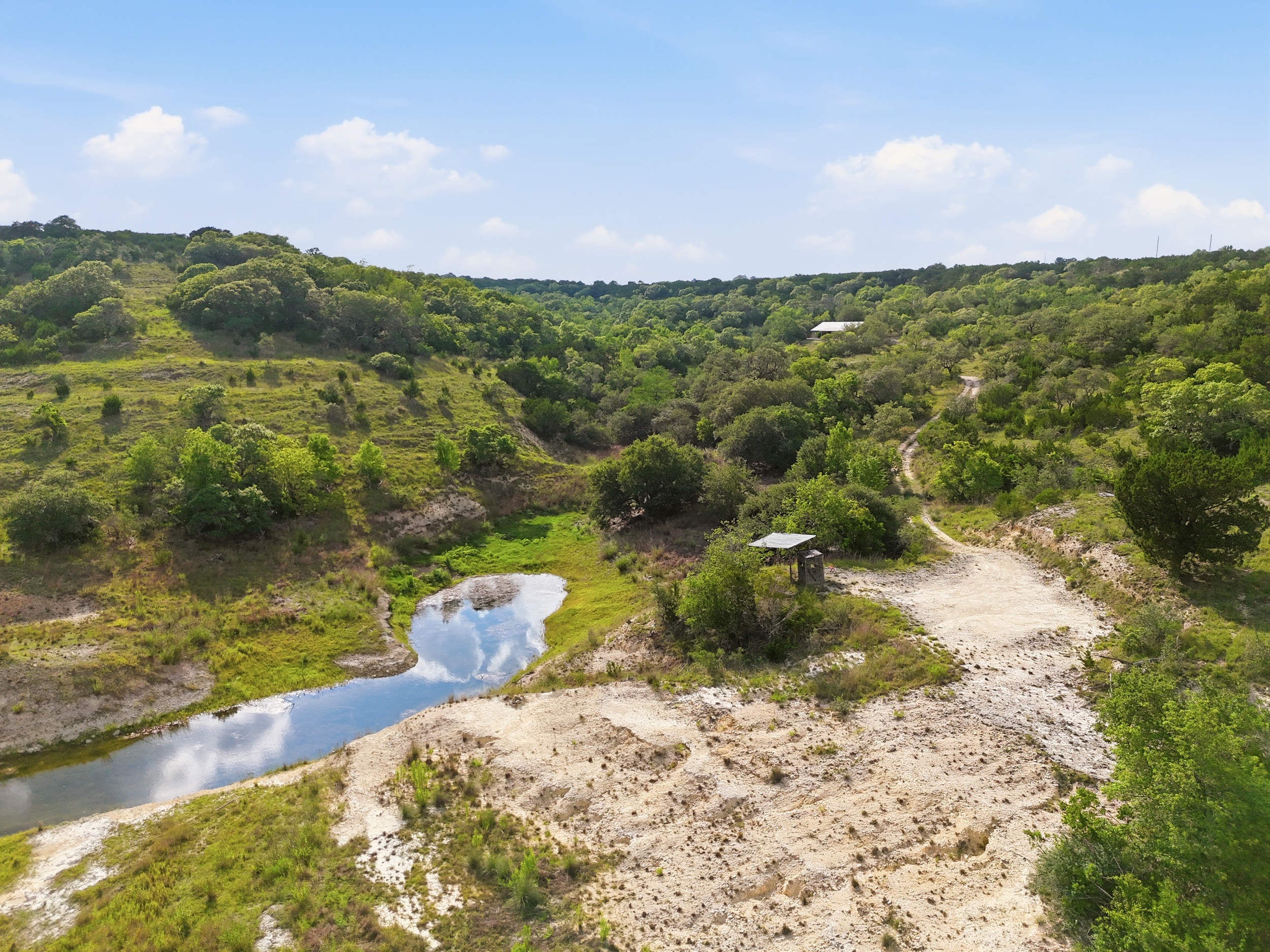  72+/- Acre Palmetto Creek Ranch - 物件實景