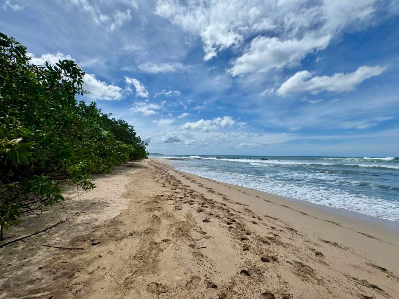 Langosta, Guanacaste, CR, ,Land,For Sale,1912110
