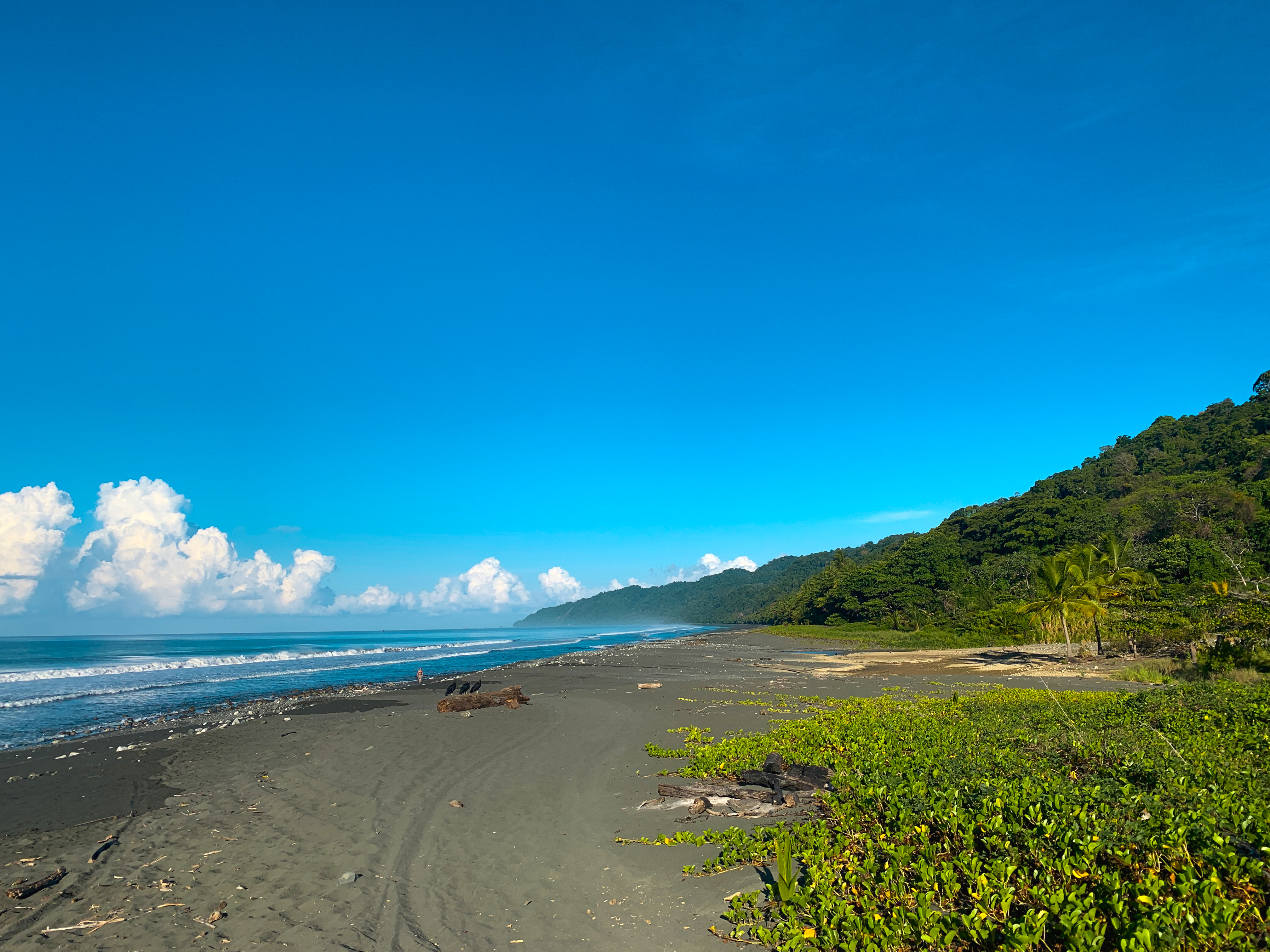 Osa Peninsula, Carate, Cabo Matapalo, Puntarenas, CR, ,Land,For Sale,Osa Peninsula, Carate,1585857